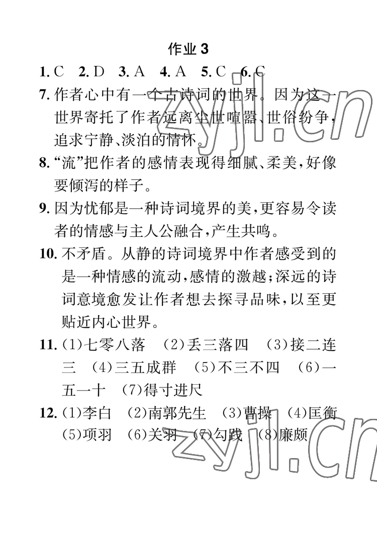 2023年長江寒假作業(yè)崇文書局九年級語文 參考答案第3頁