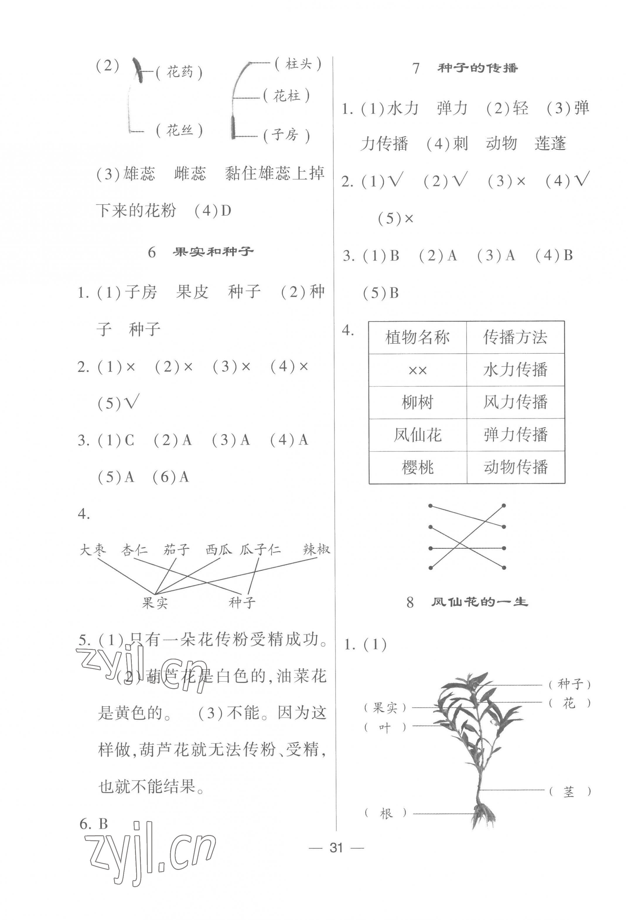 2023年經(jīng)綸學(xué)典棒棒堂四年級(jí)科學(xué)下冊(cè)教科版 第3頁