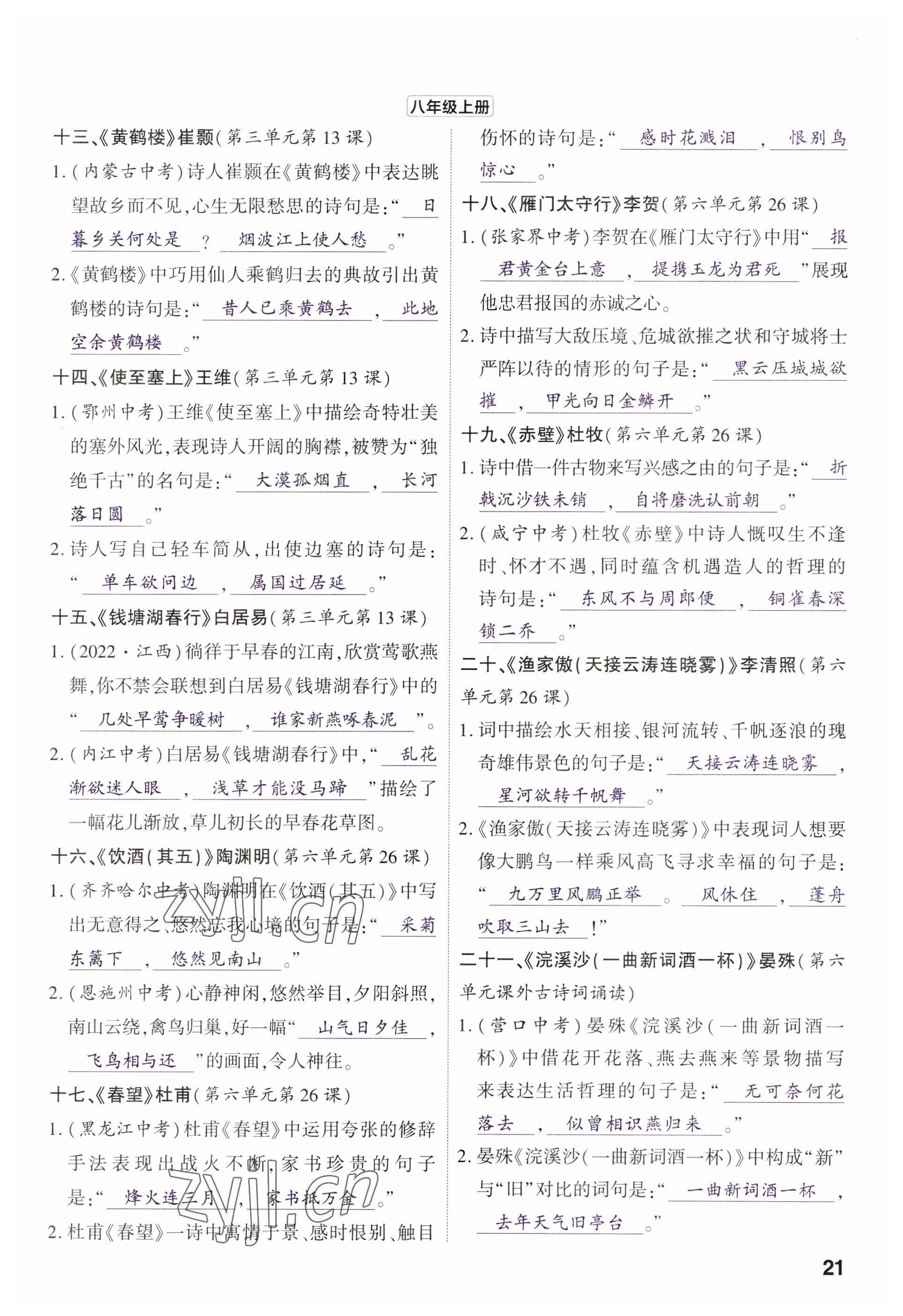 2023年鼎成中考精准提分语文河南专版 参考答案第25页