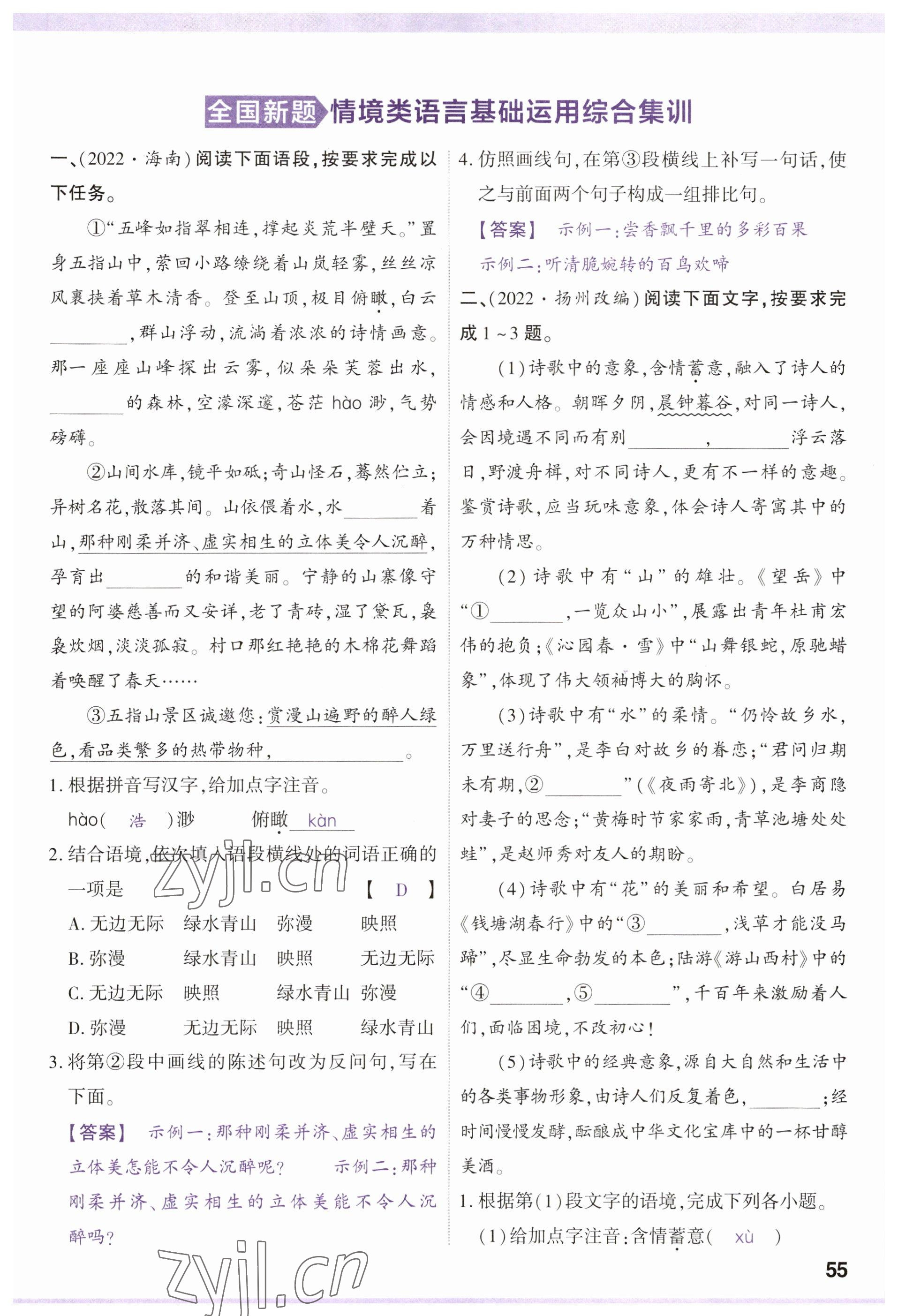 2023年鼎成中考精准提分语文河南专版 参考答案第59页