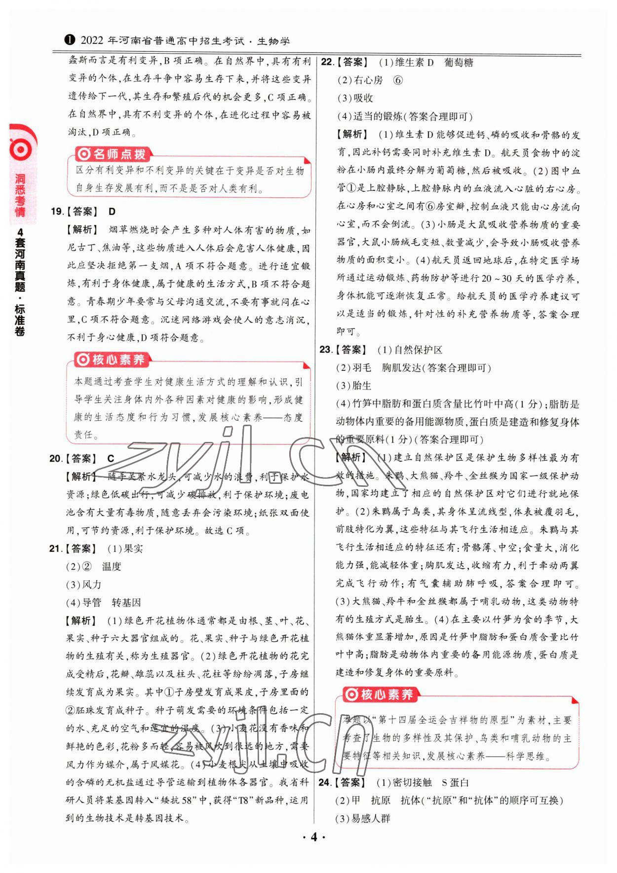 2023年鼎成中考河南真题生物 第4页