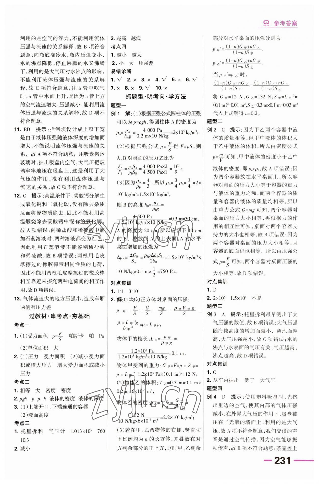 2023年全優(yōu)中考系統(tǒng)總復(fù)習(xí)物理河北專用 第11頁