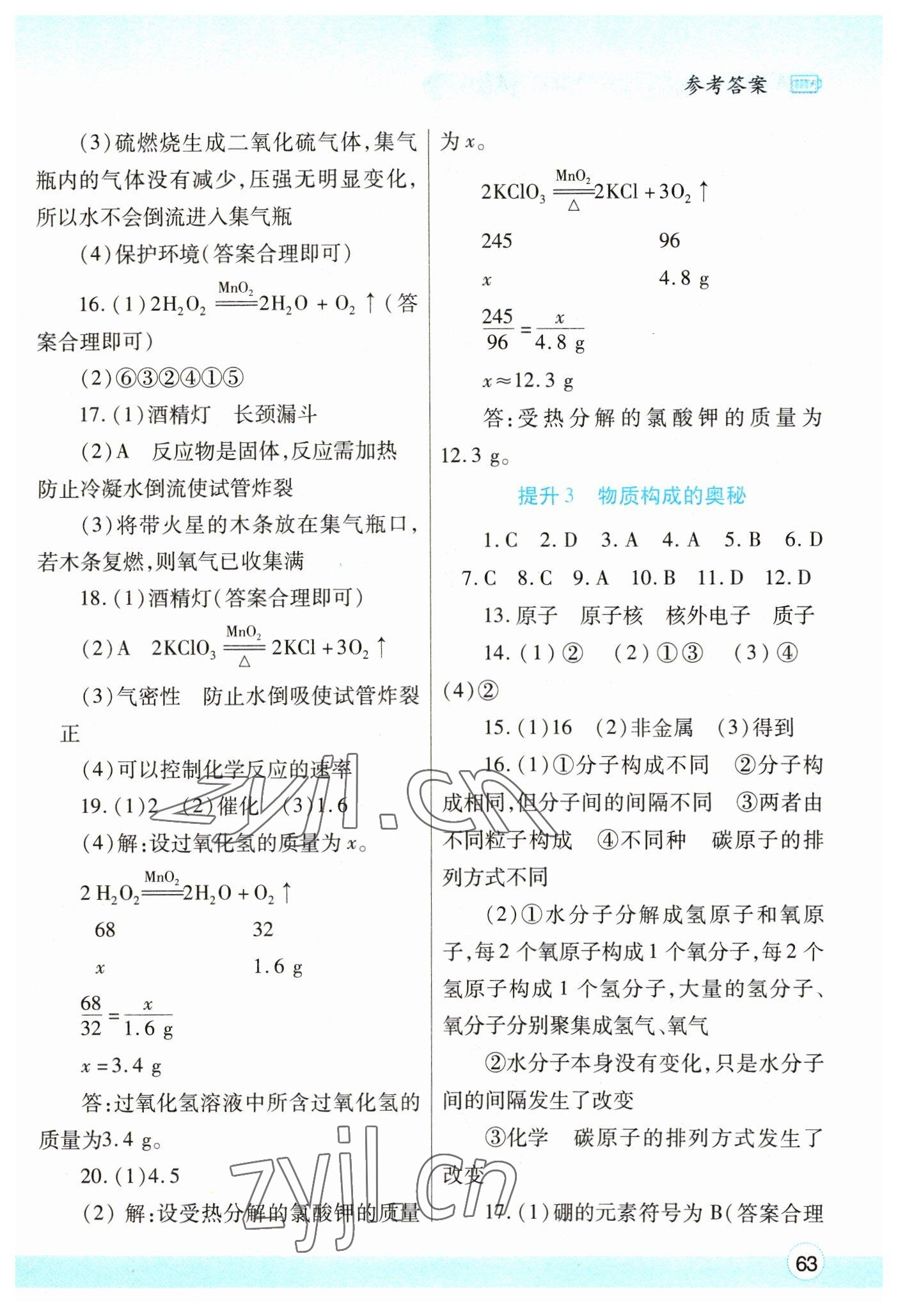 2023年寒假作業(yè)與生活陜西師范大學出版總社九年級化學人教版 參考答案第2頁