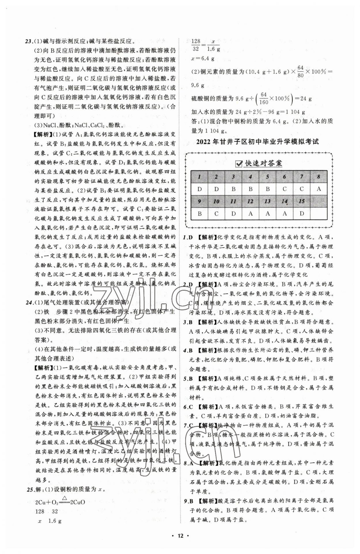 2023年中考必備化學(xué)大連專版 參考答案第12頁