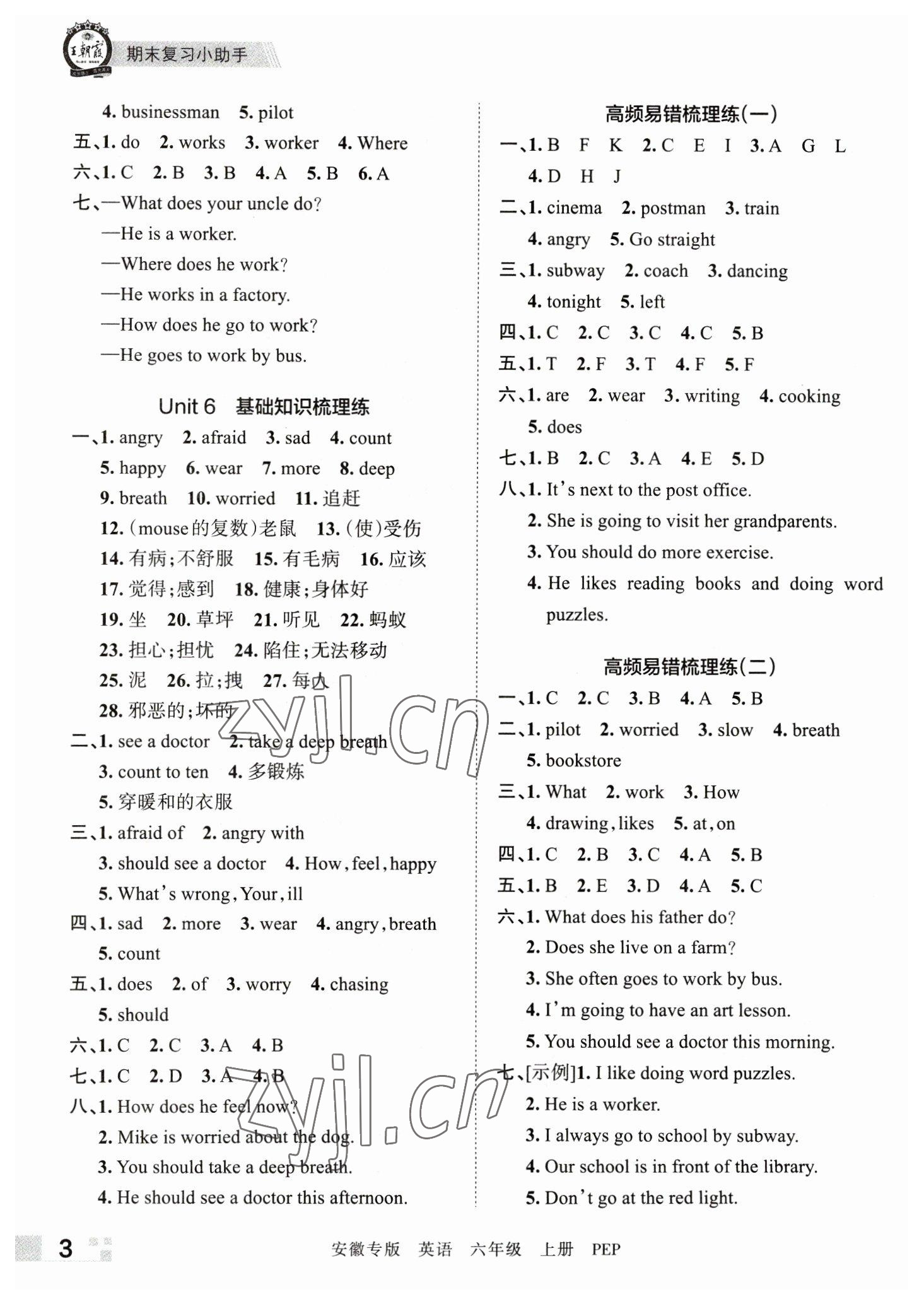 2022年王朝霞期末试卷研究六年级英语上册人教版安徽专版 参考答案第3页