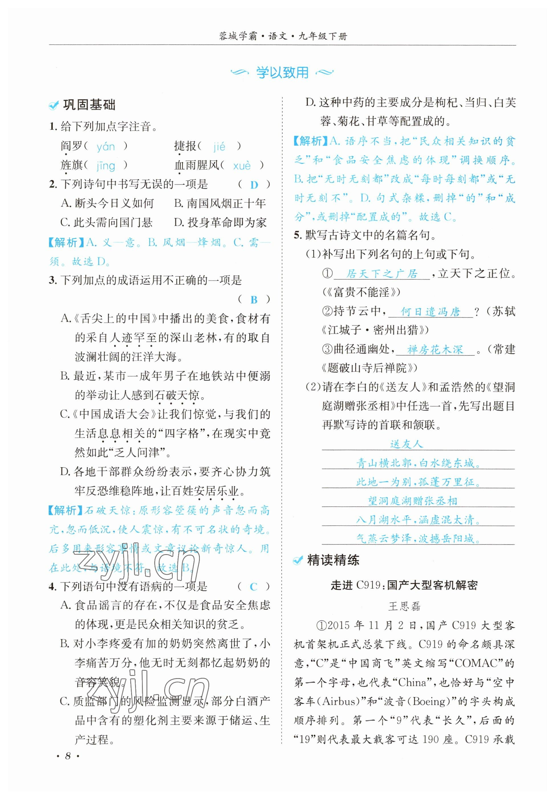 2023年蓉城学霸九年级语文下册人教版 参考答案第8页