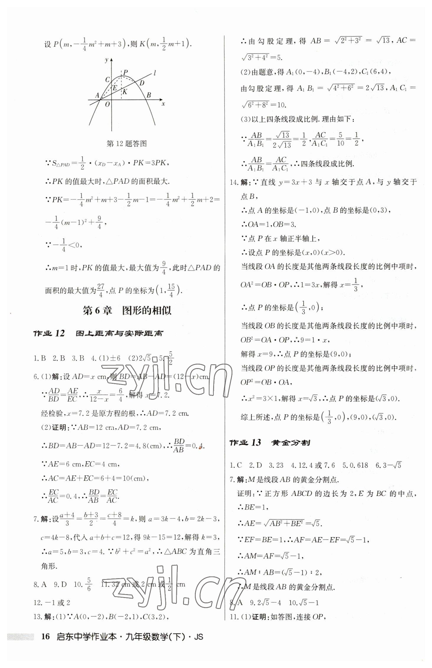 2023年啟東中學(xué)作業(yè)本九年級數(shù)學(xué)下冊蘇科版 第16頁