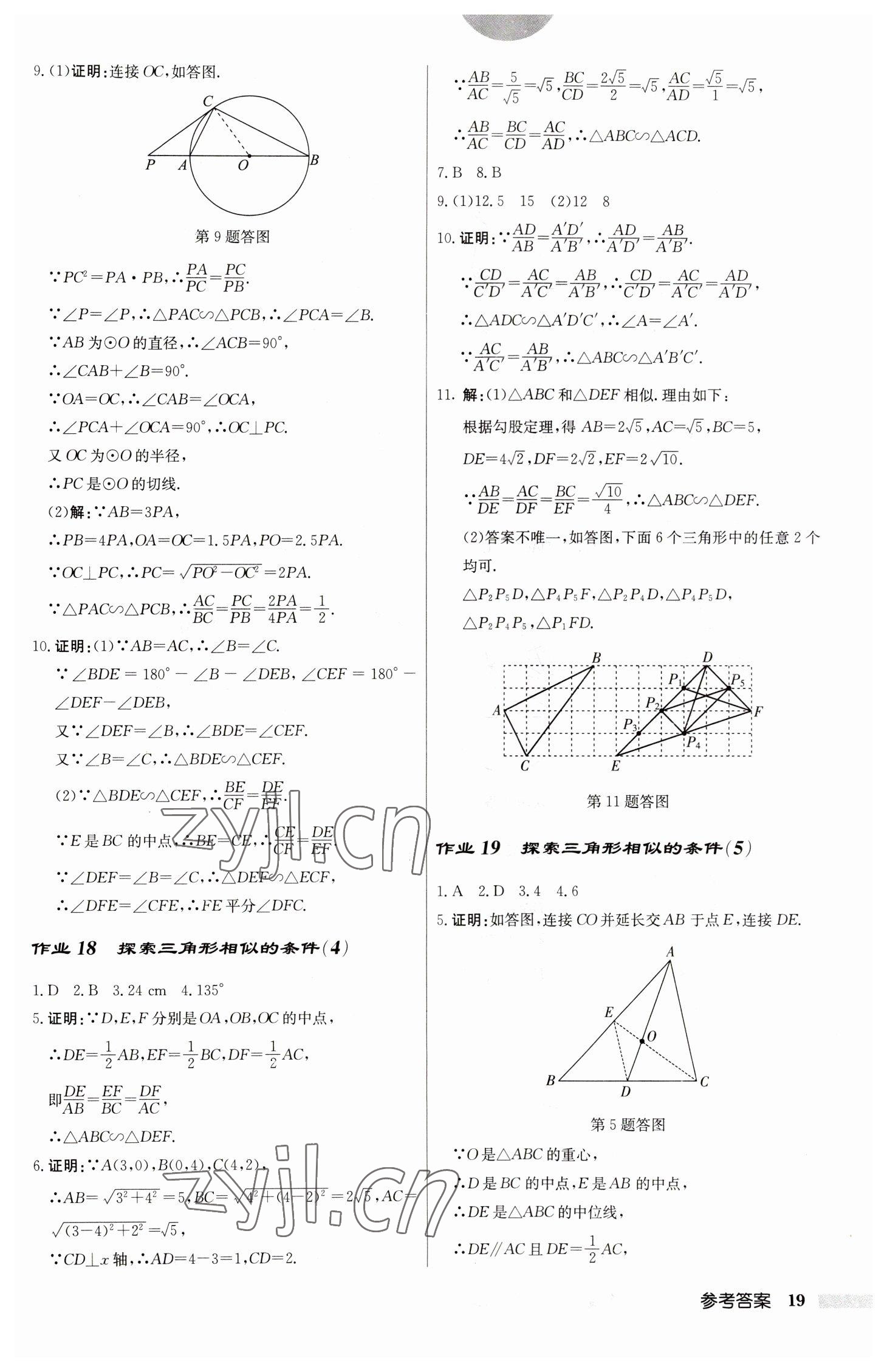 2023年啟東中學作業(yè)本九年級數(shù)學下冊蘇科版 第19頁