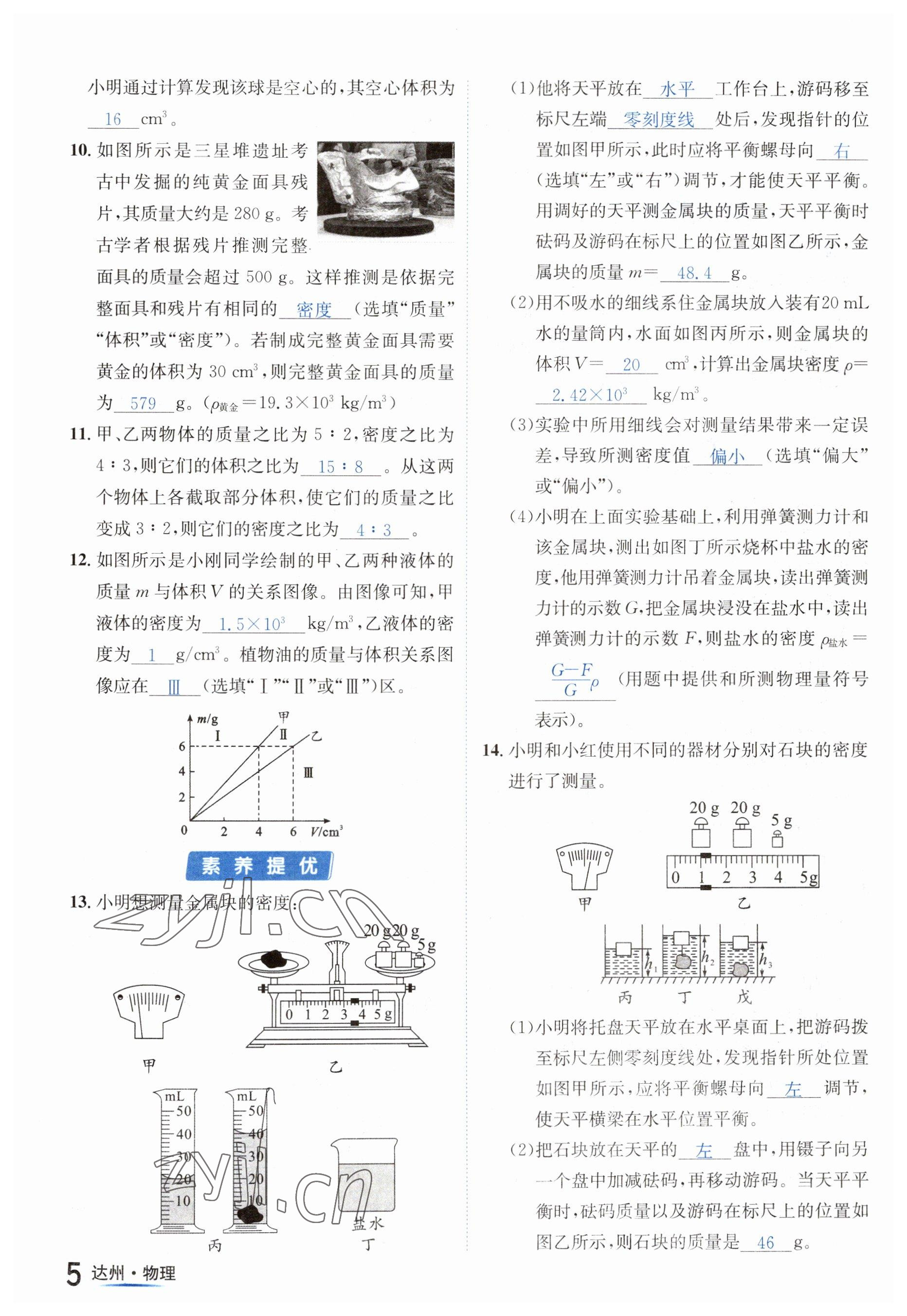 2023年國華考試中考總動員物理達(dá)州專版 參考答案第13頁