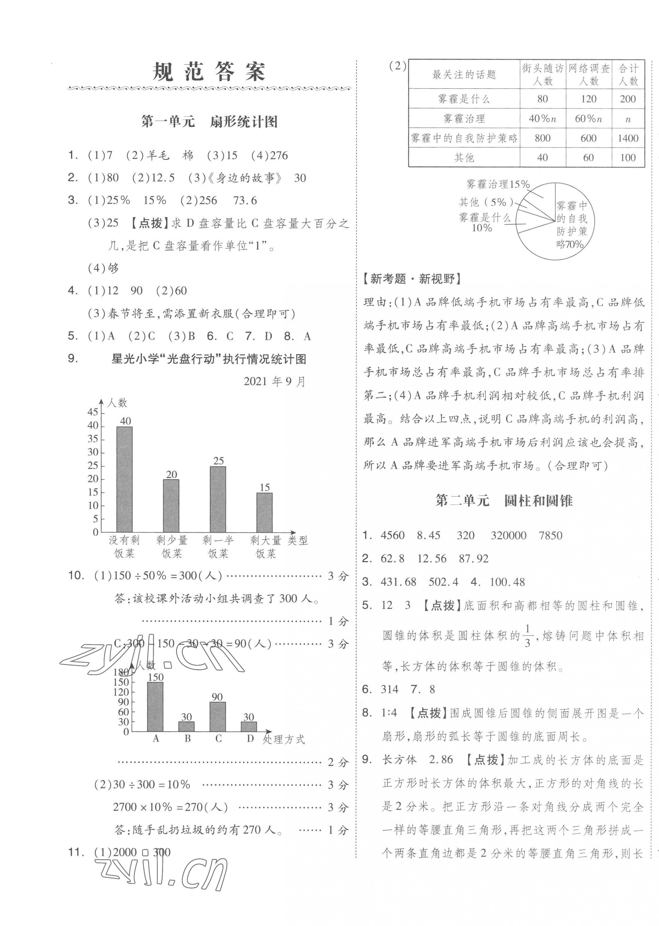 2023年全品小复习六年级数学下册苏教版 第1页