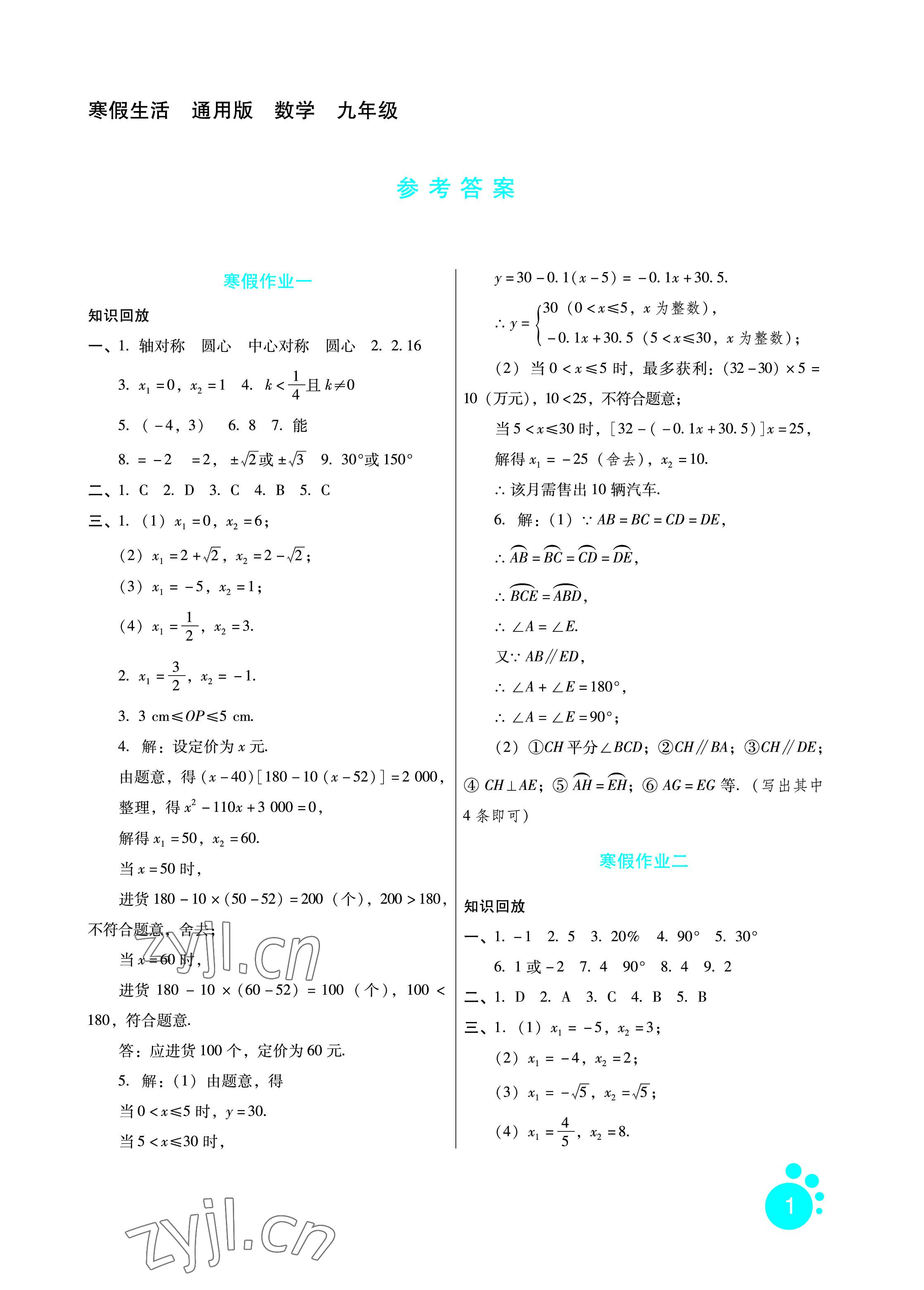 2023年寒假生活九年級(jí)數(shù)學(xué)通用版河北少年兒童出版社 參考答案第1頁(yè)