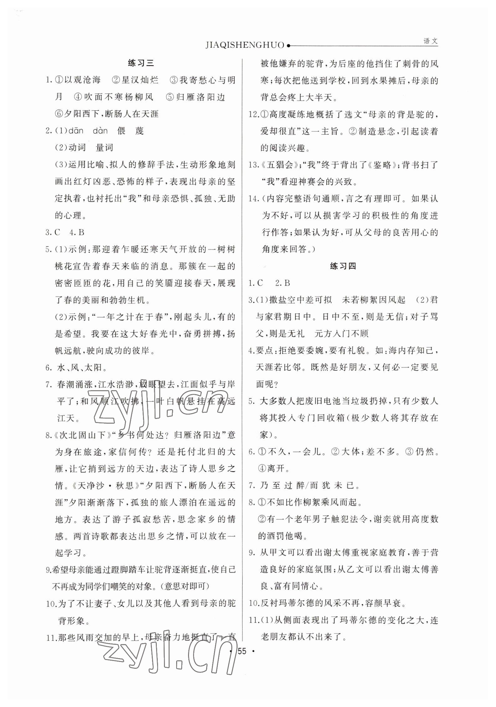 2023年假期生活七年级语文通用版方圆电子音像出版社 参考答案第2页