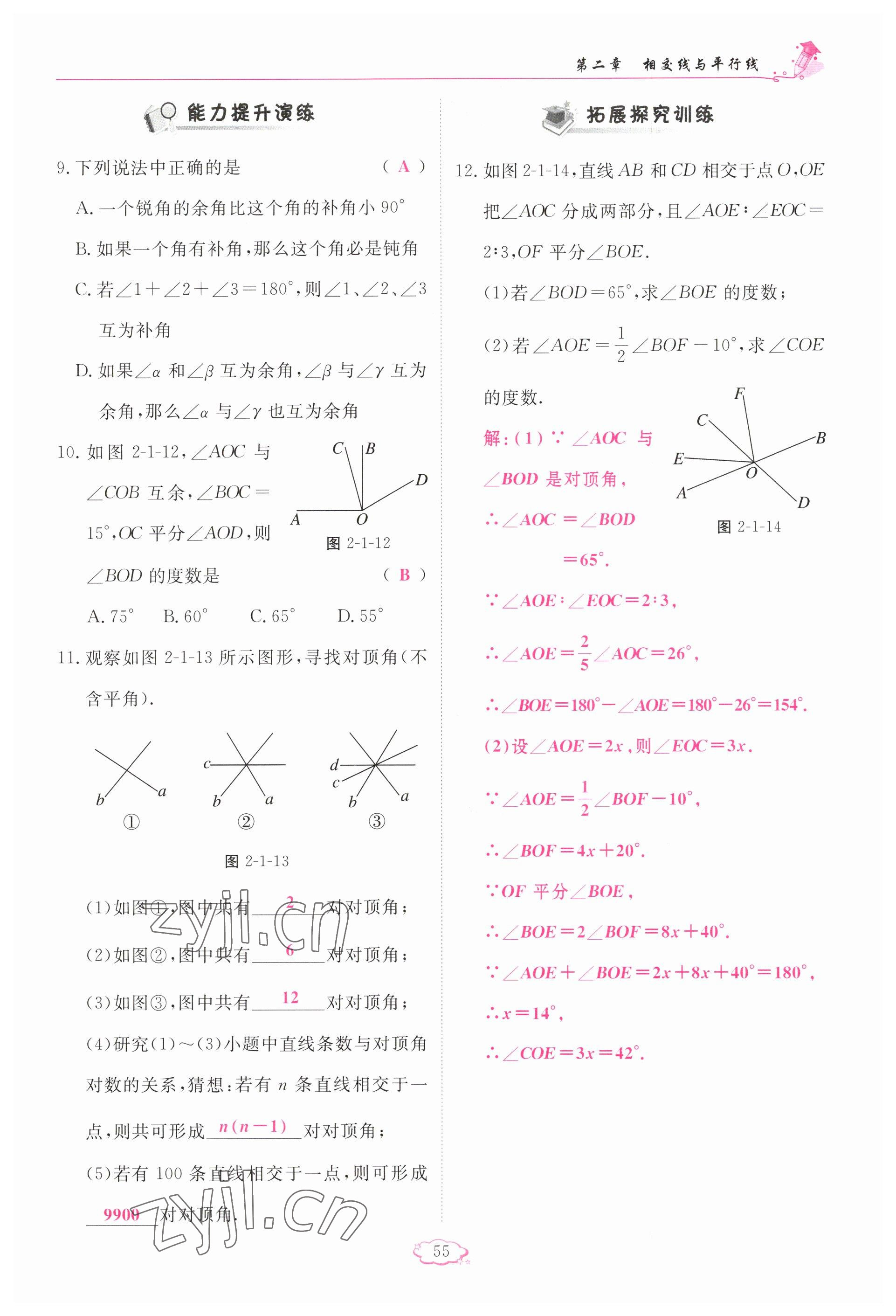 2023年启航新课堂七年级数学下册北师大版 参考答案第55页