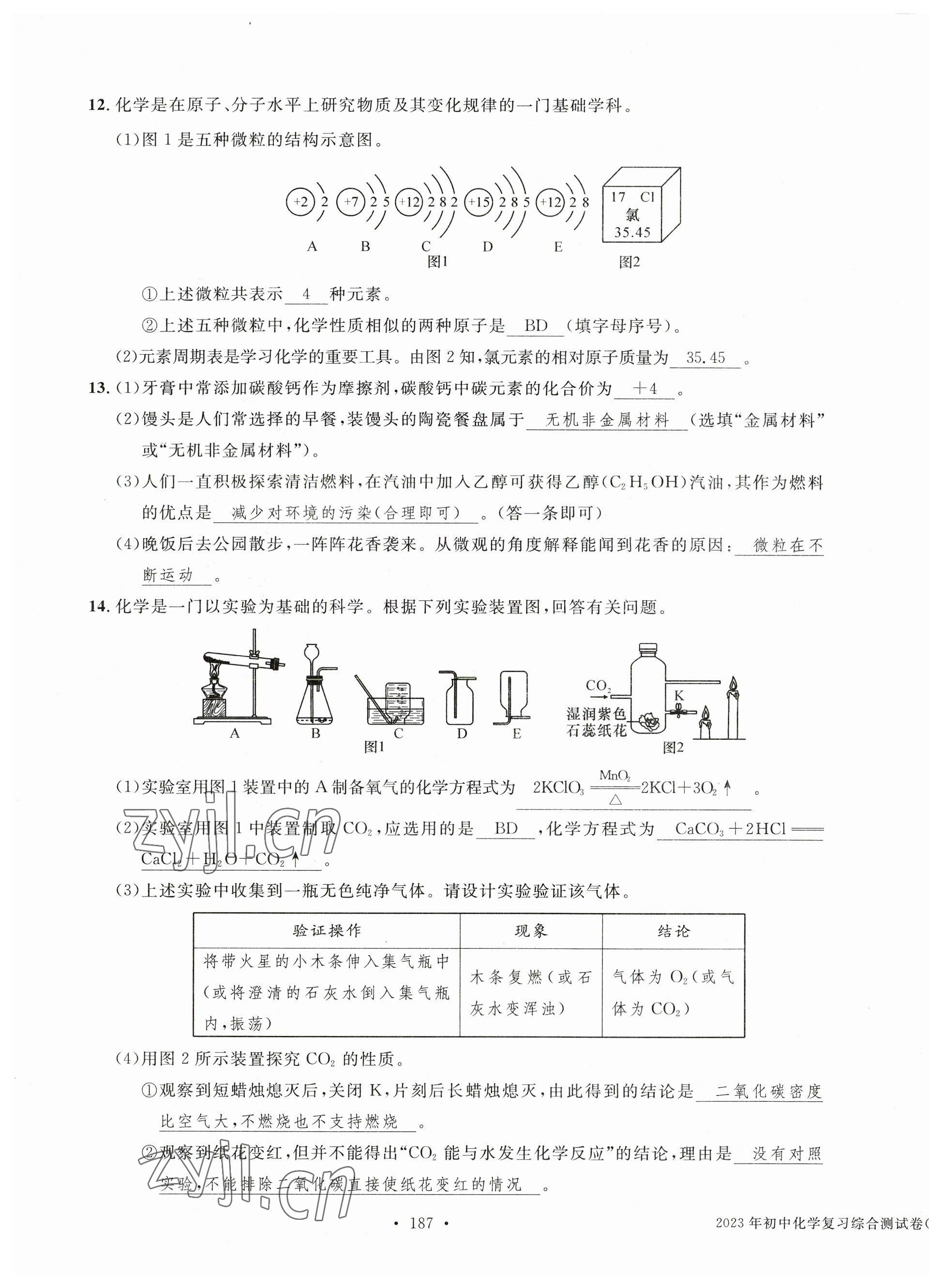 2023年中考总复习长江出版社化学 第7页