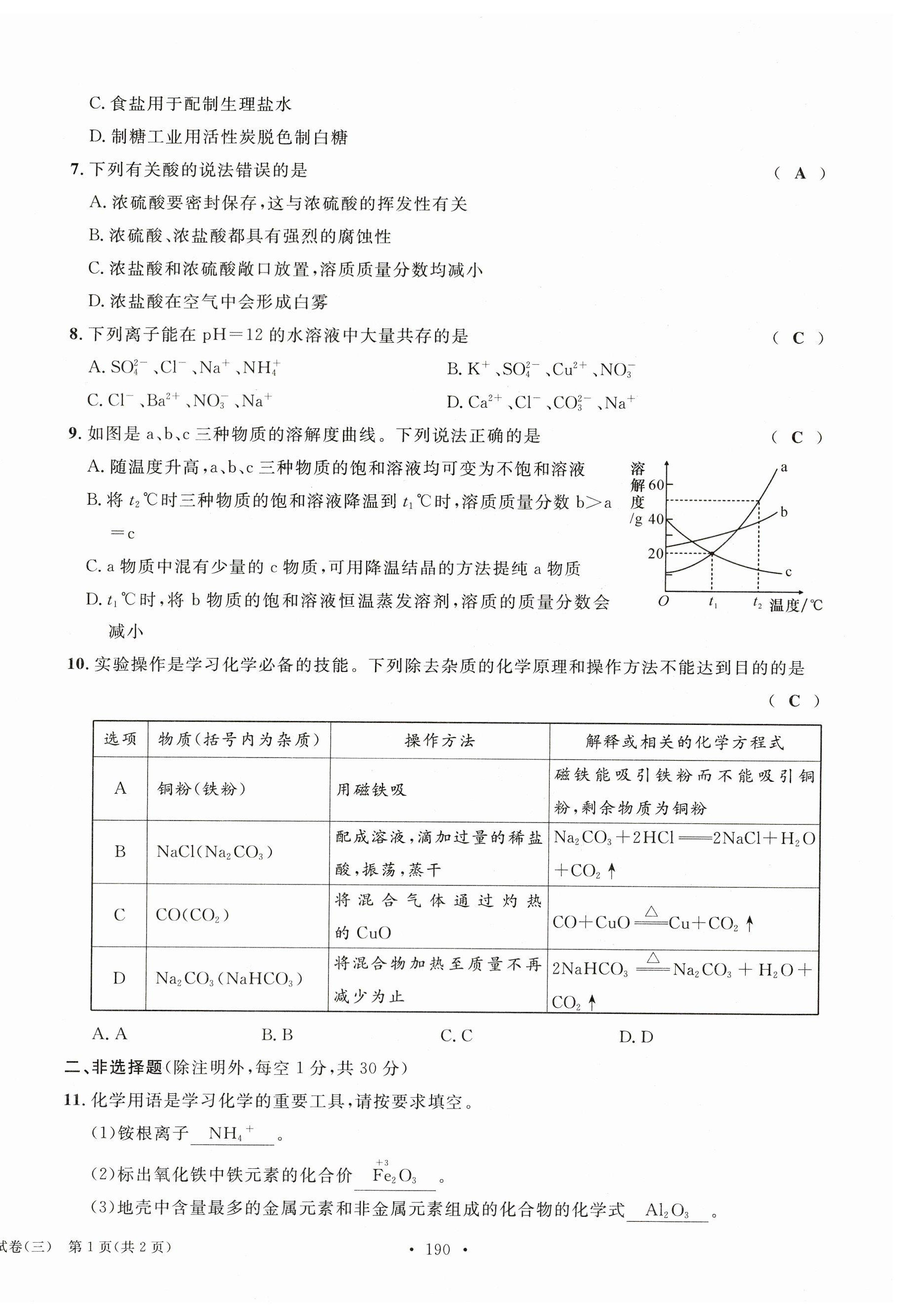 2023年中考总复习长江出版社化学 第10页