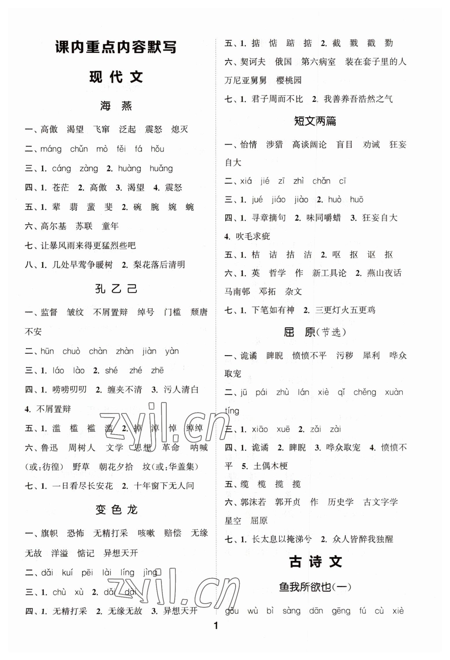 2023年通城学典初中语文默写能手九年级下册人教版 第1页