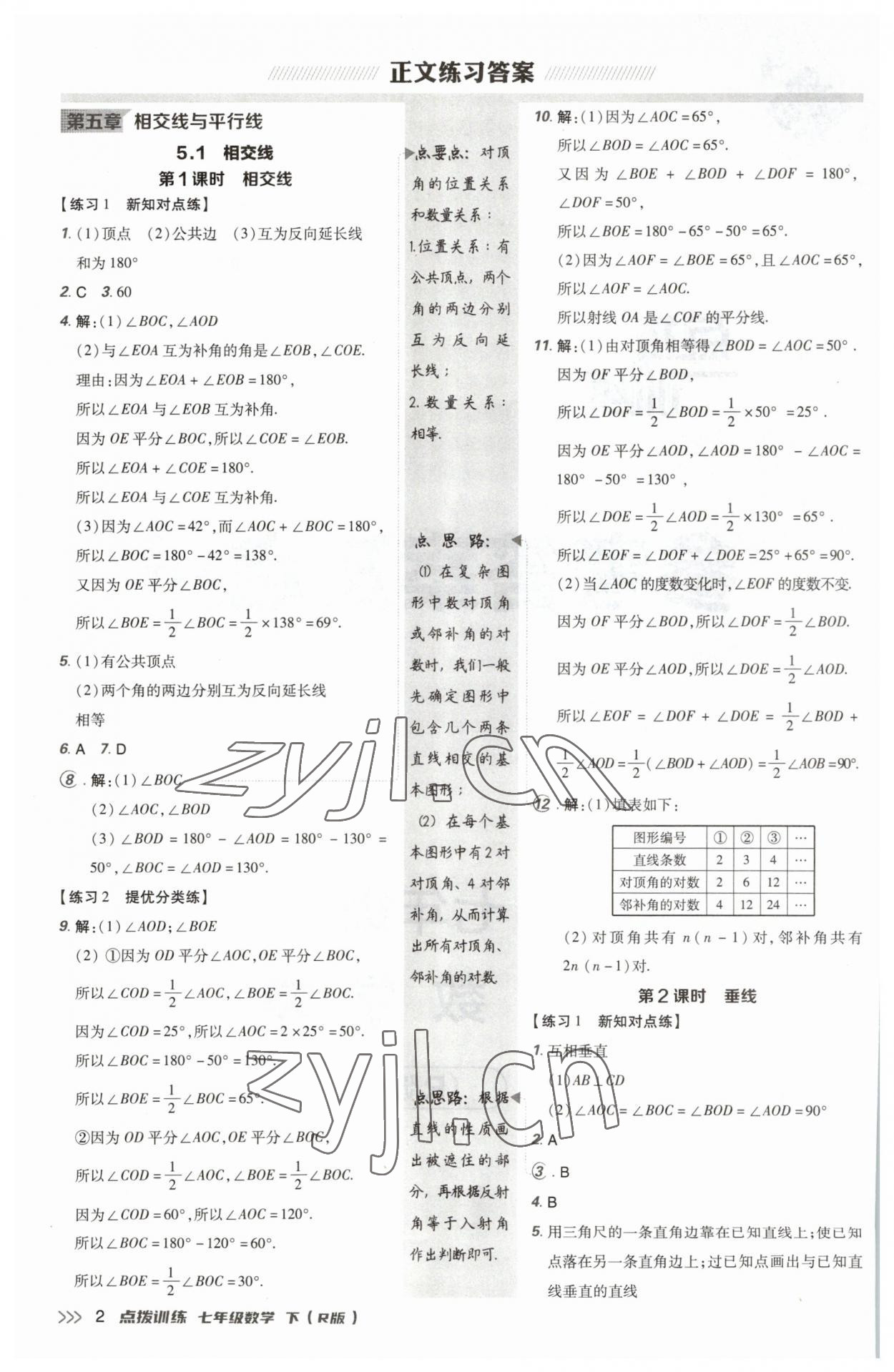 2023年点拨训练七年级数学下册人教版 参考答案第1页