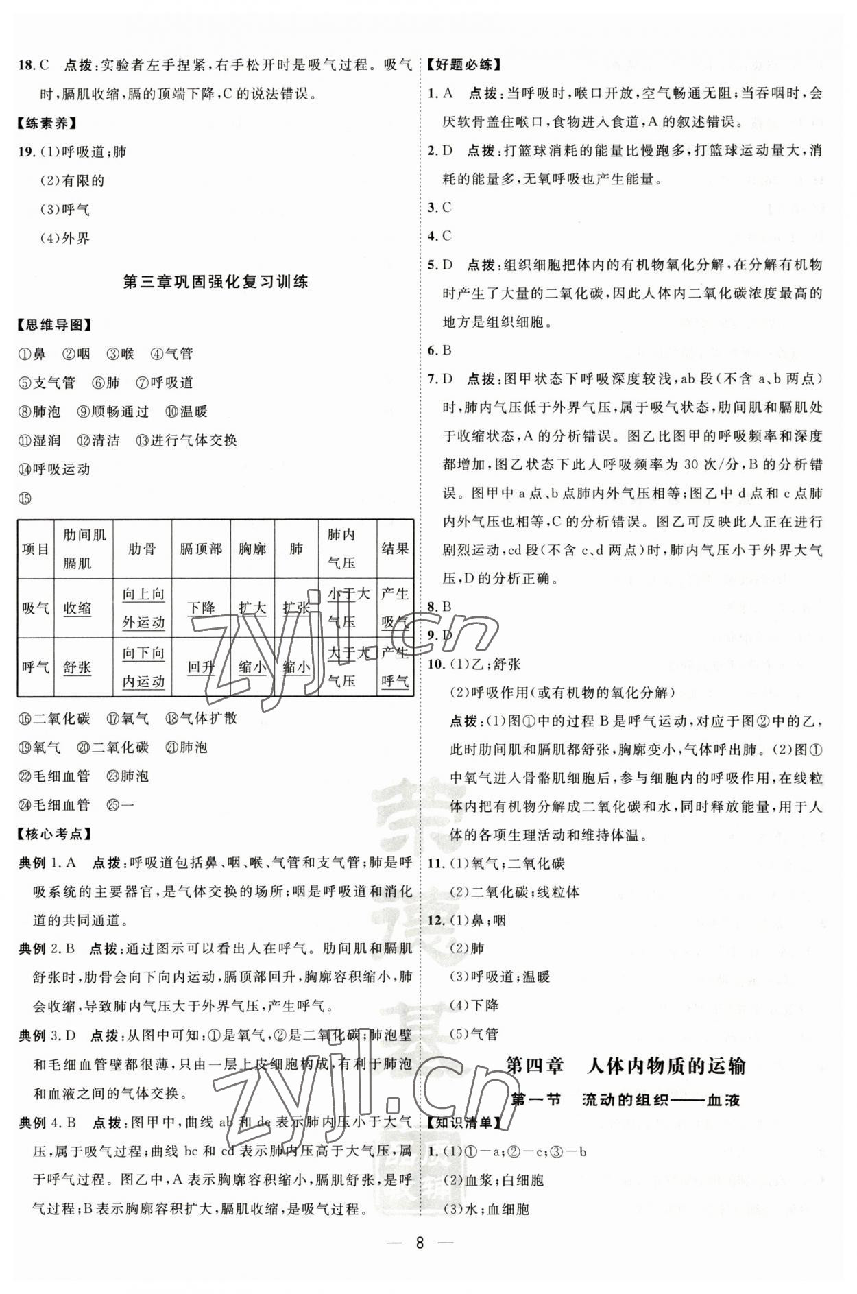 2023年點(diǎn)撥訓(xùn)練七年級(jí)生物下冊(cè)人教版 參考答案第8頁