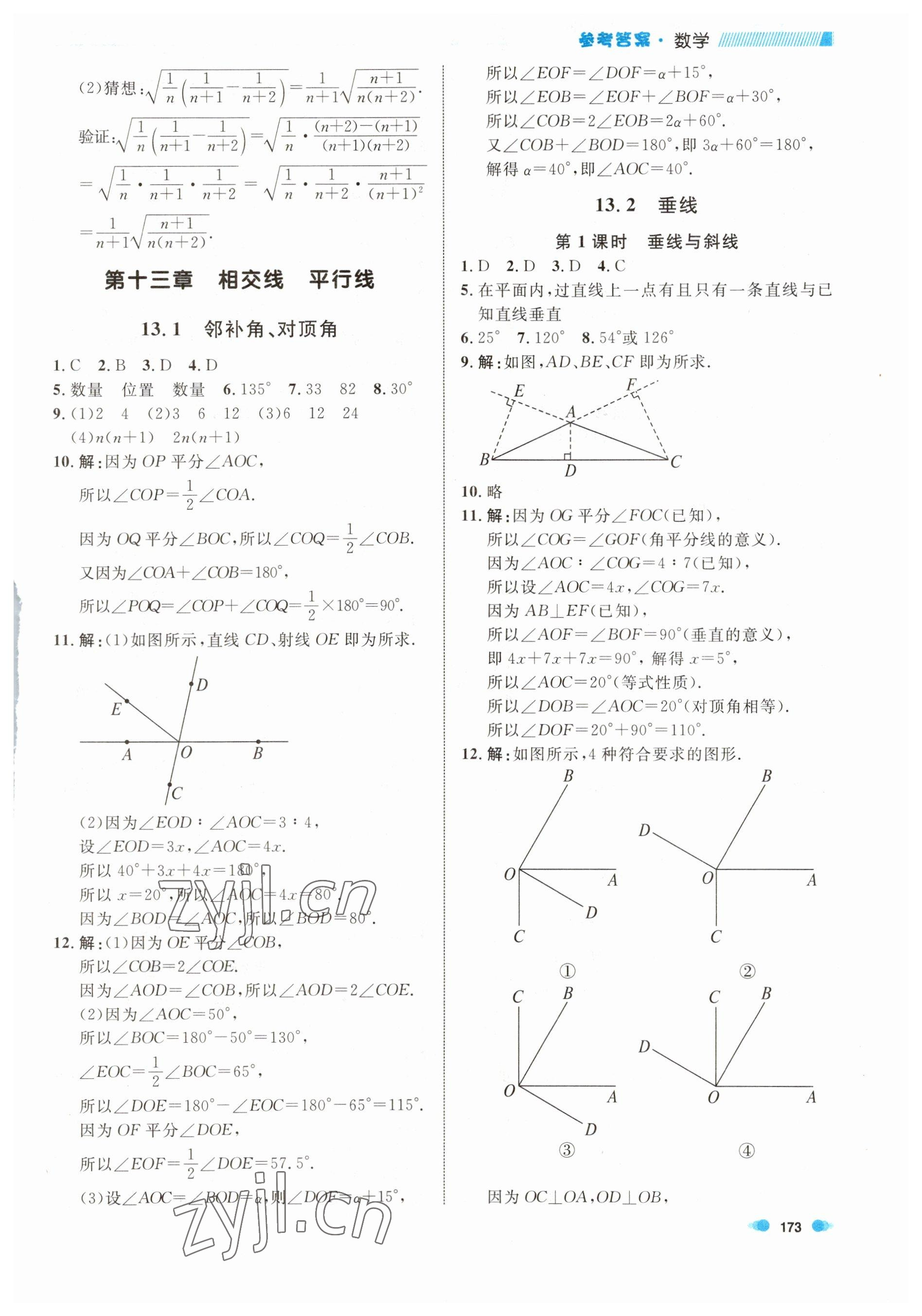 2023年上海作业七年级数学下册沪教版五四制 第5页