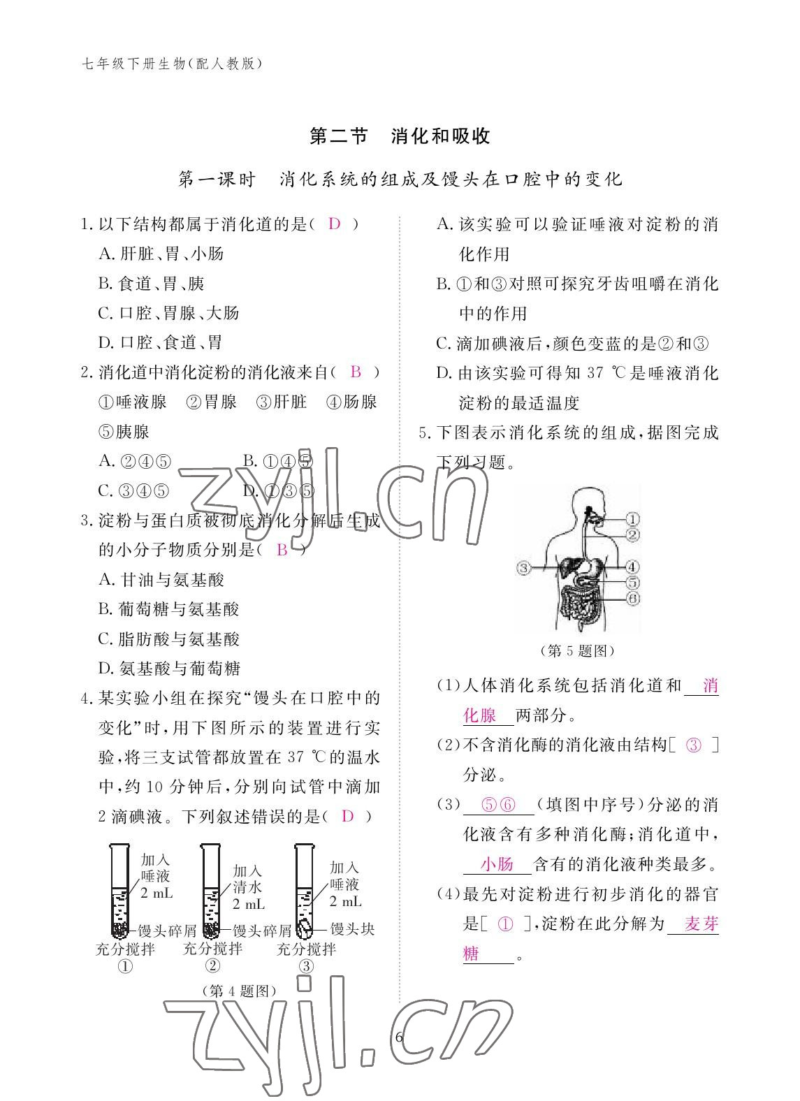 2023年作業(yè)本江西教育出版社七年級(jí)生物下冊(cè)人教版 參考答案第6頁(yè)