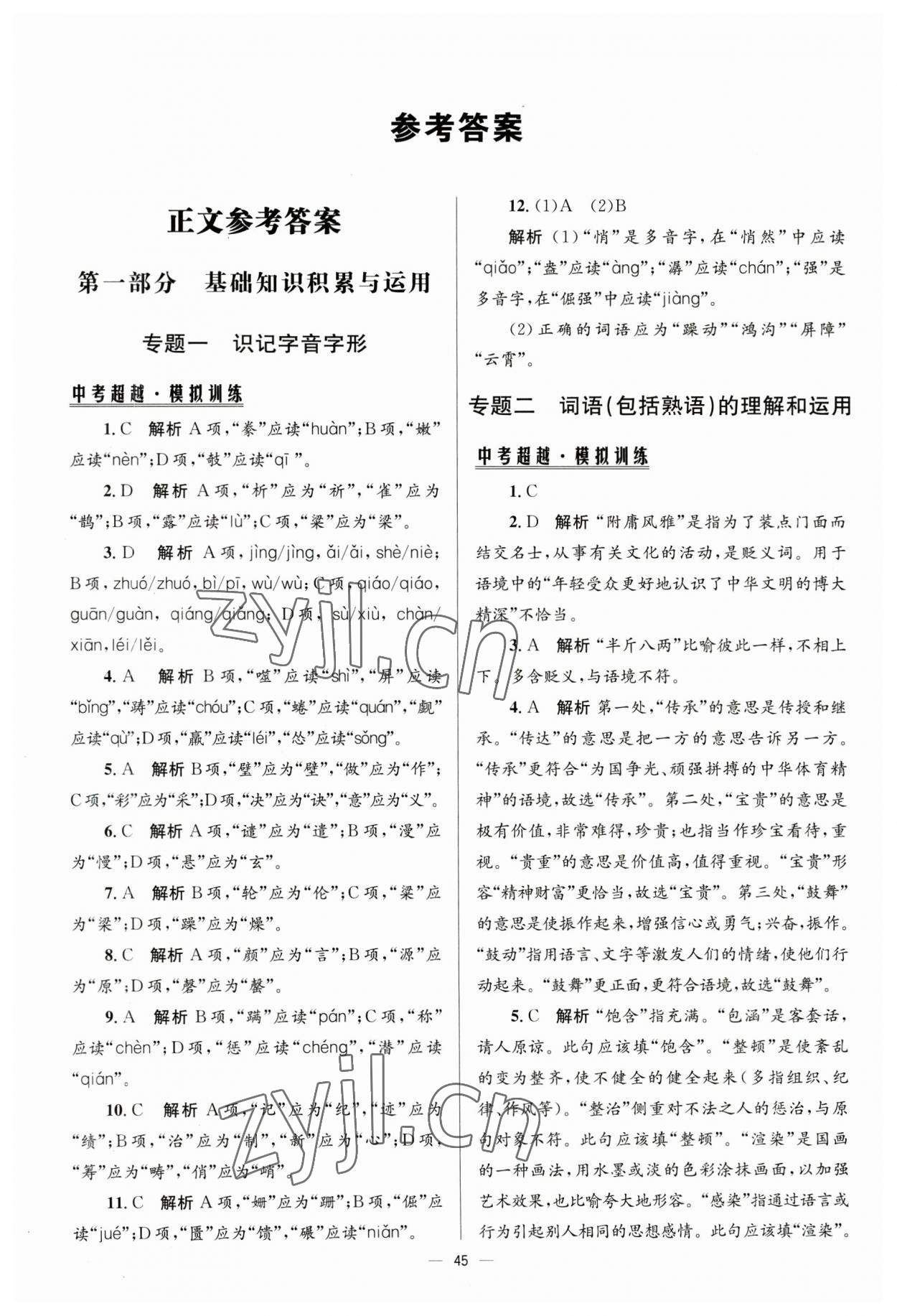 2023年初中总复习手册北京师范大学出版社语文 第1页