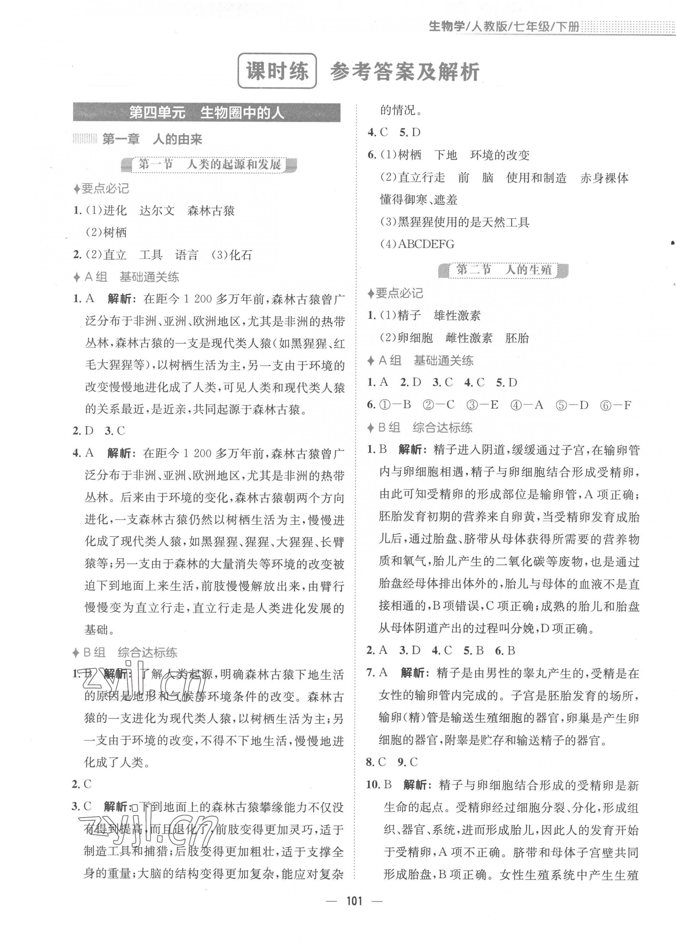 2023年新編基礎(chǔ)訓(xùn)練七年級(jí)生物下冊(cè)人教版 第1頁