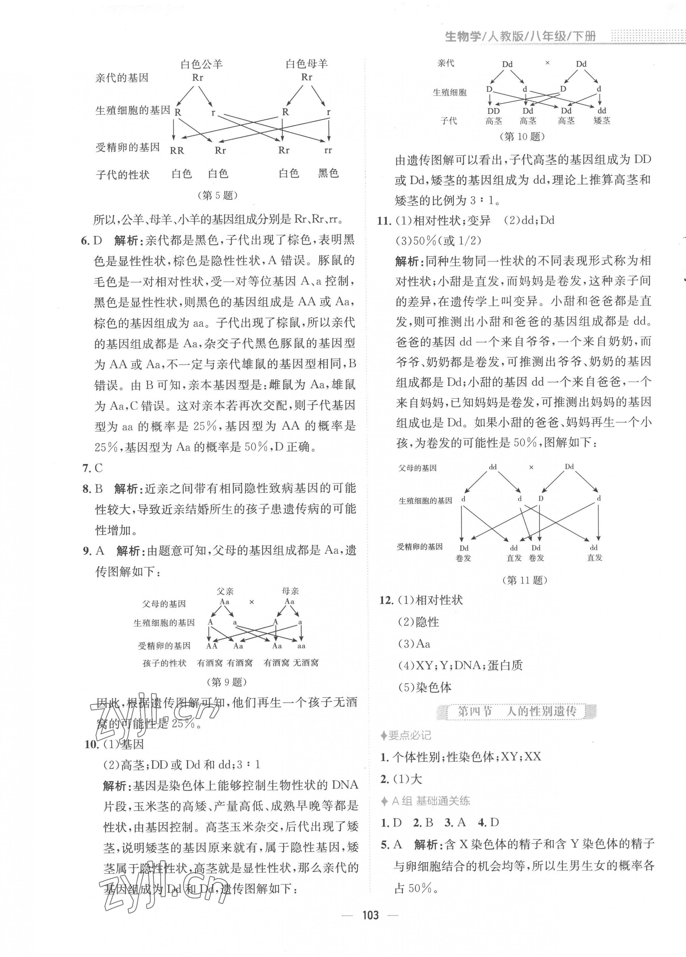 2023年新编基础训练八年级生物下册人教版 第7页