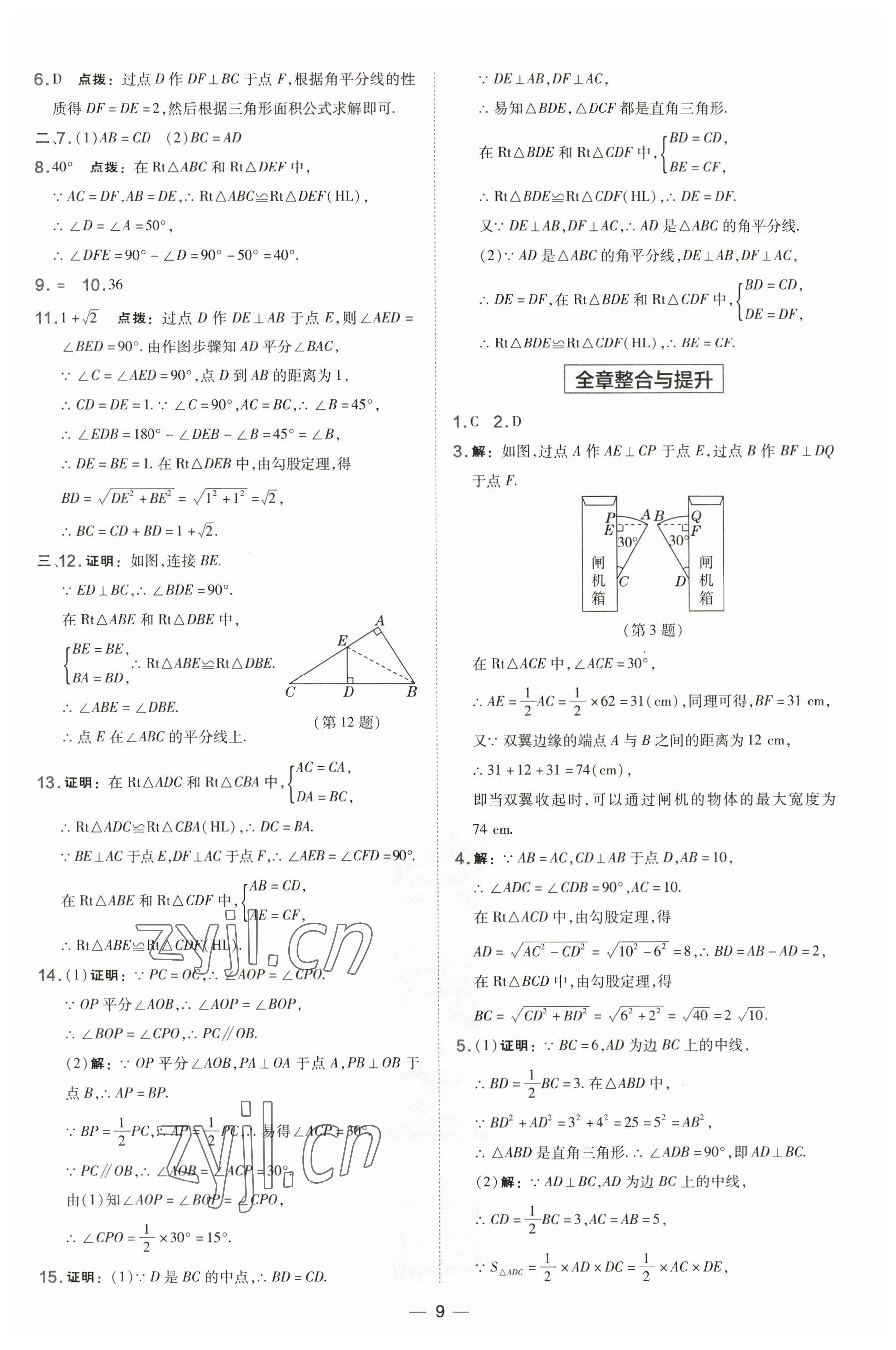 2023年点拨训练八年级数学下册湘教版 参考答案第9页