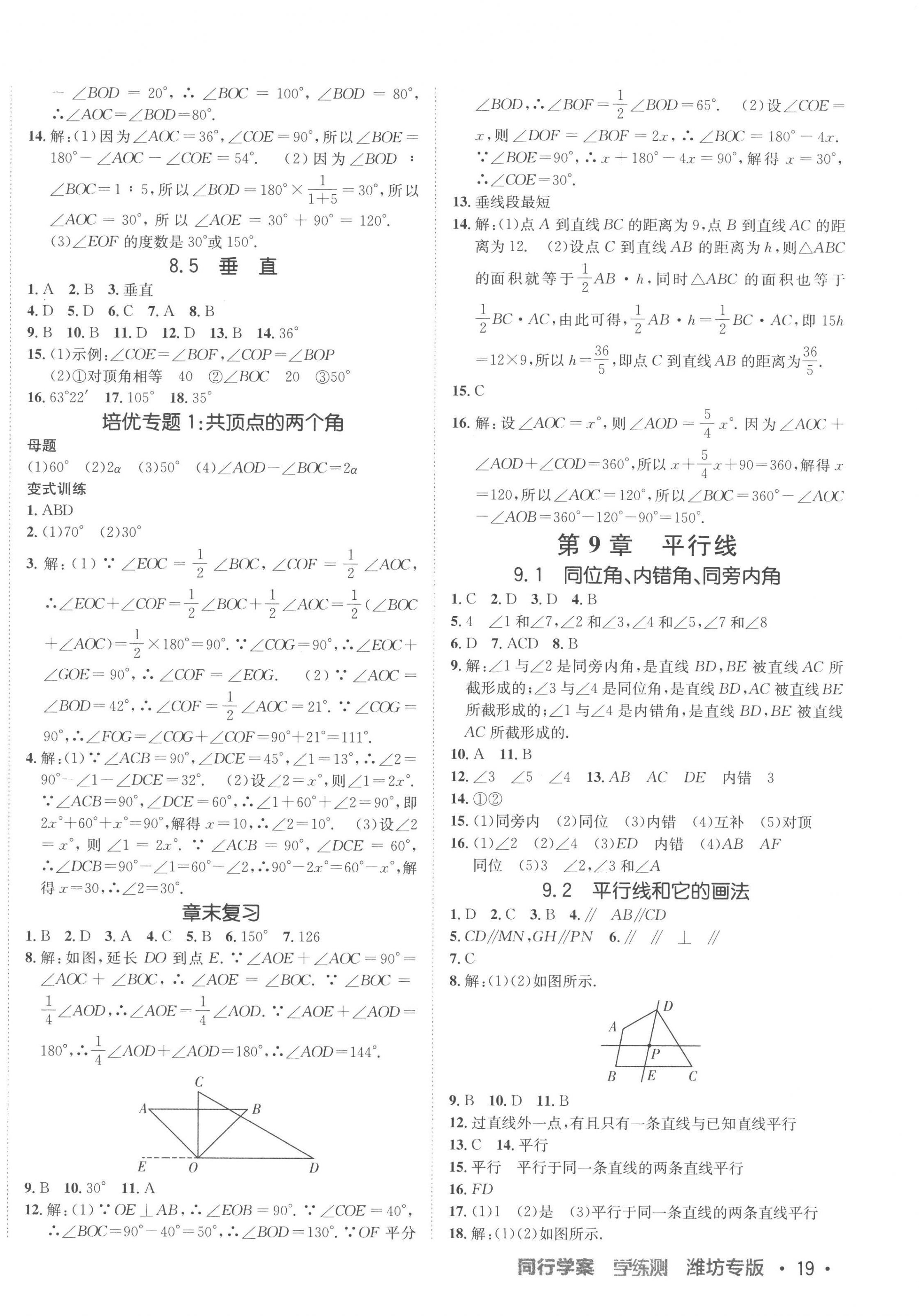 2023年同行学案学练测七年级数学下册青岛版 第2页