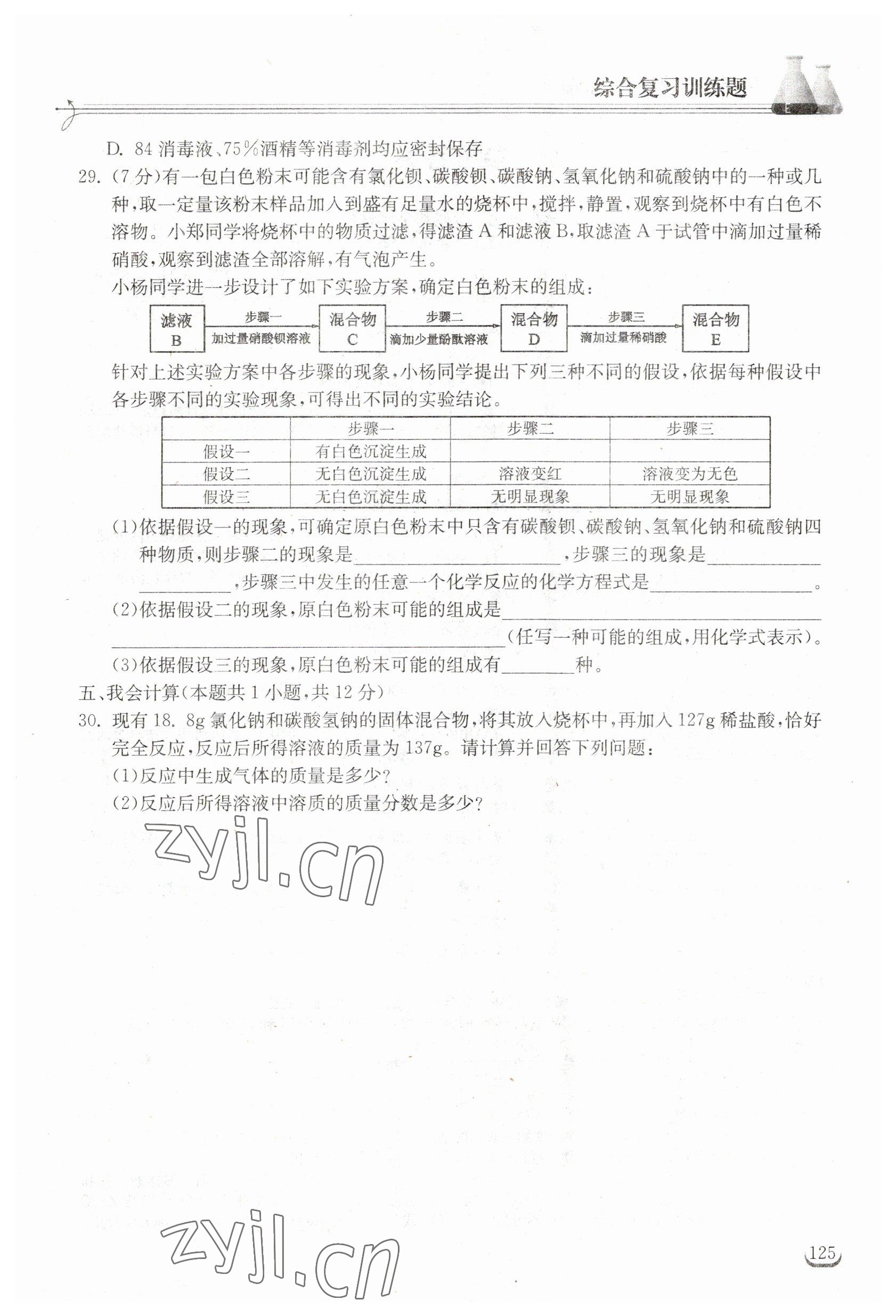 2023年长江作业本同步练习册九年级化学下册人教版 第1页
