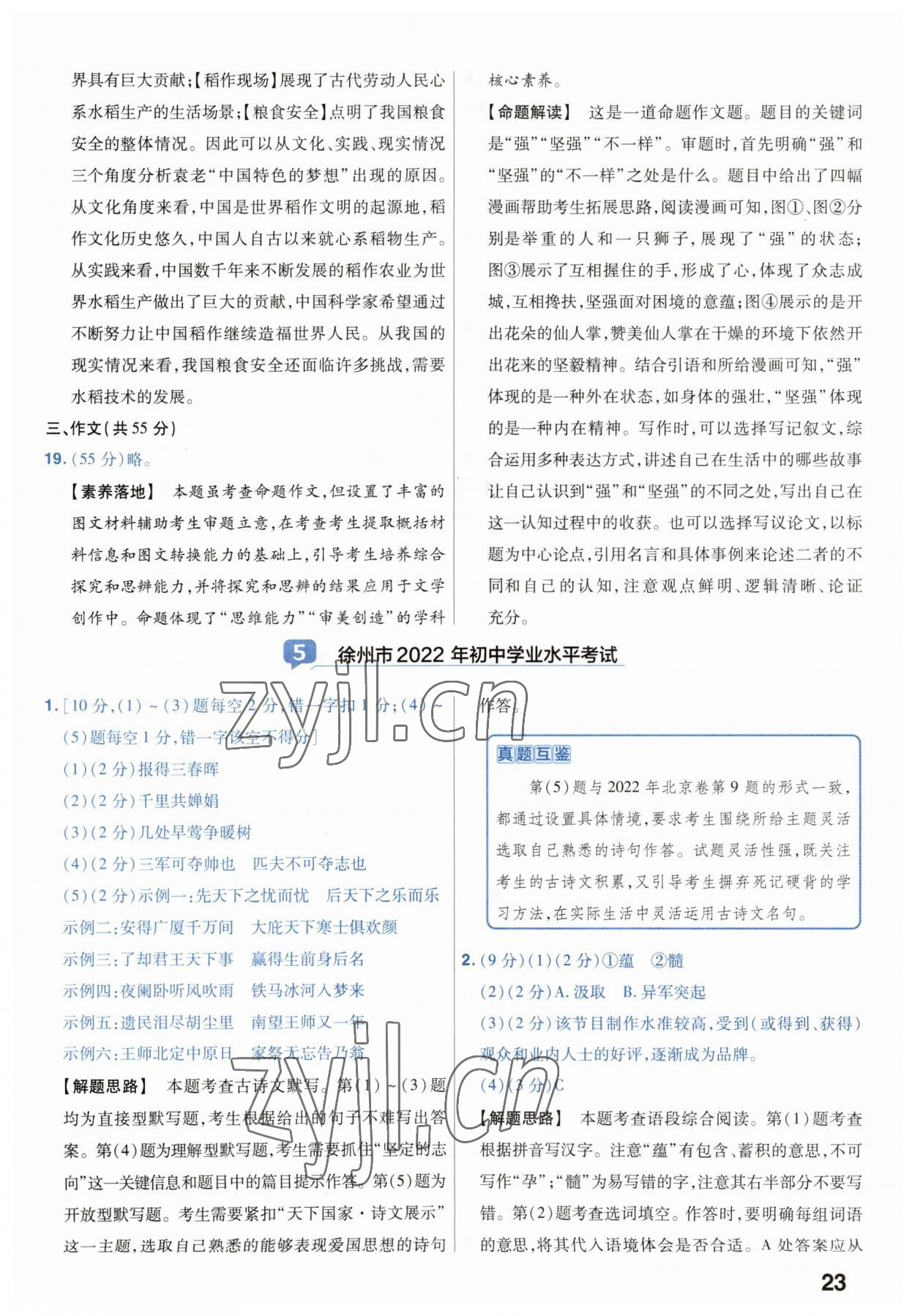 2023年金考卷45套匯編中考語(yǔ)文江蘇專版 第23頁(yè)