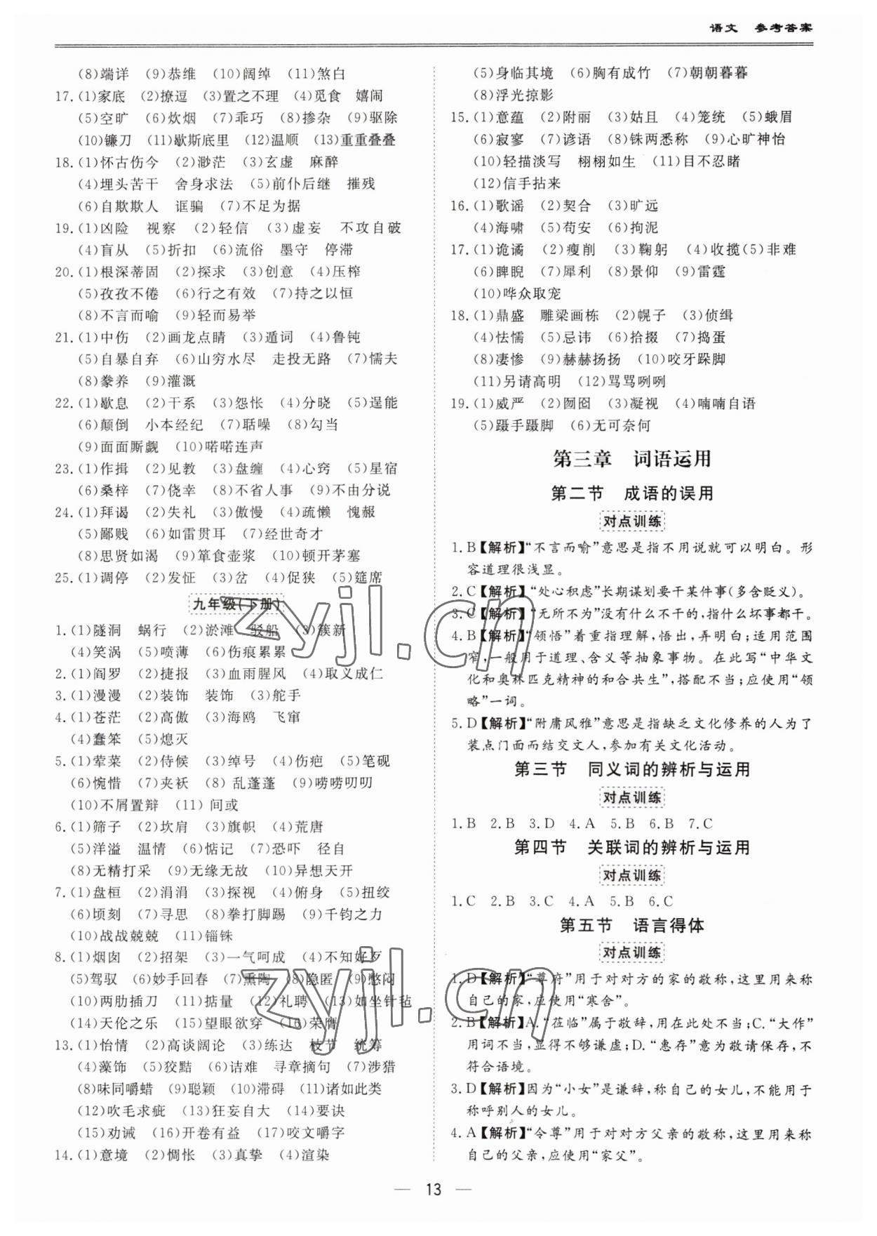 2023年新課標(biāo)中考寶典語文廣東專版 第13頁