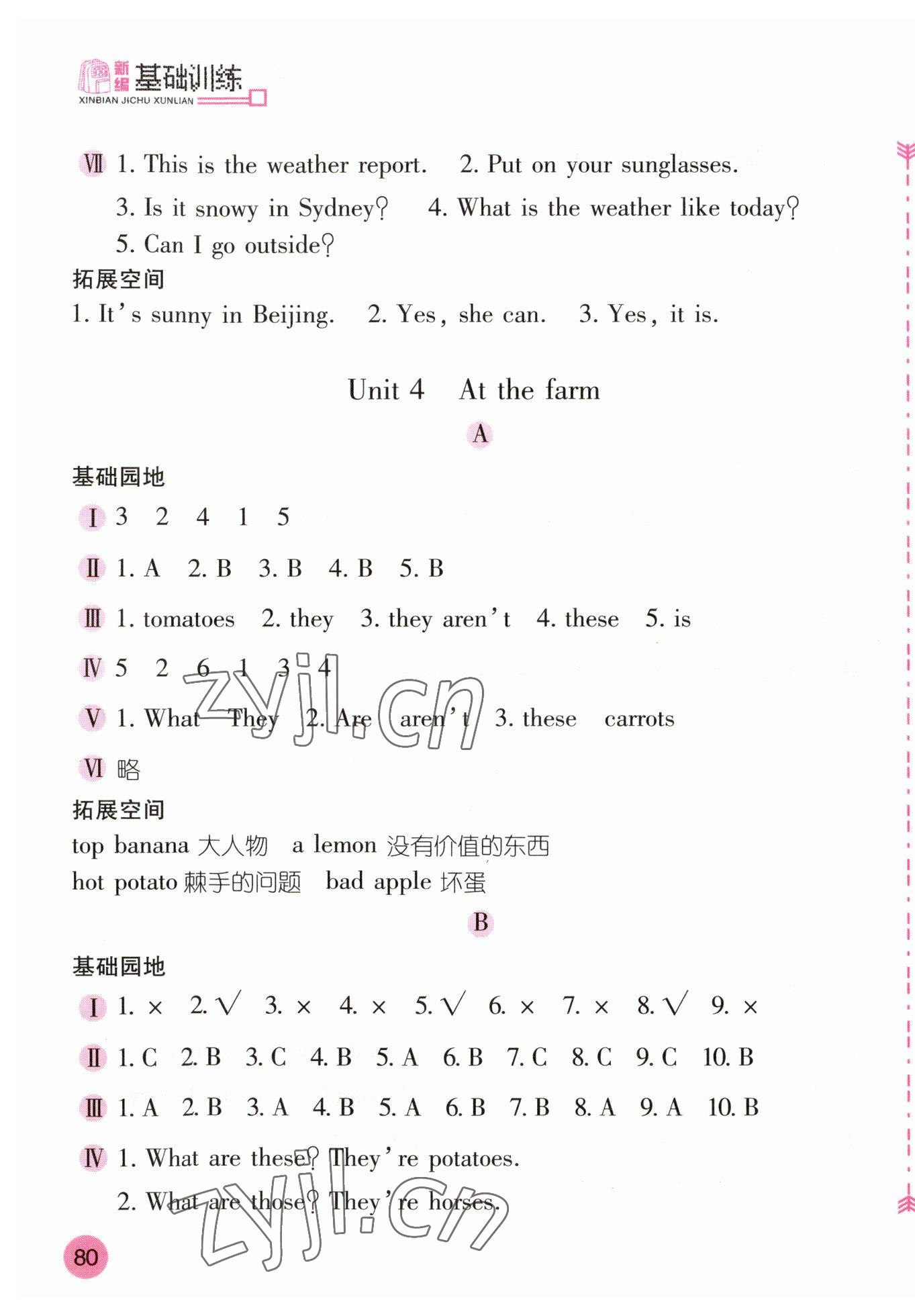 2023年新編基礎(chǔ)訓(xùn)練四年級(jí)英語下冊(cè)人教版 第7頁