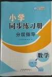 2023年同步练习册分层指导六年级数学下册人教版