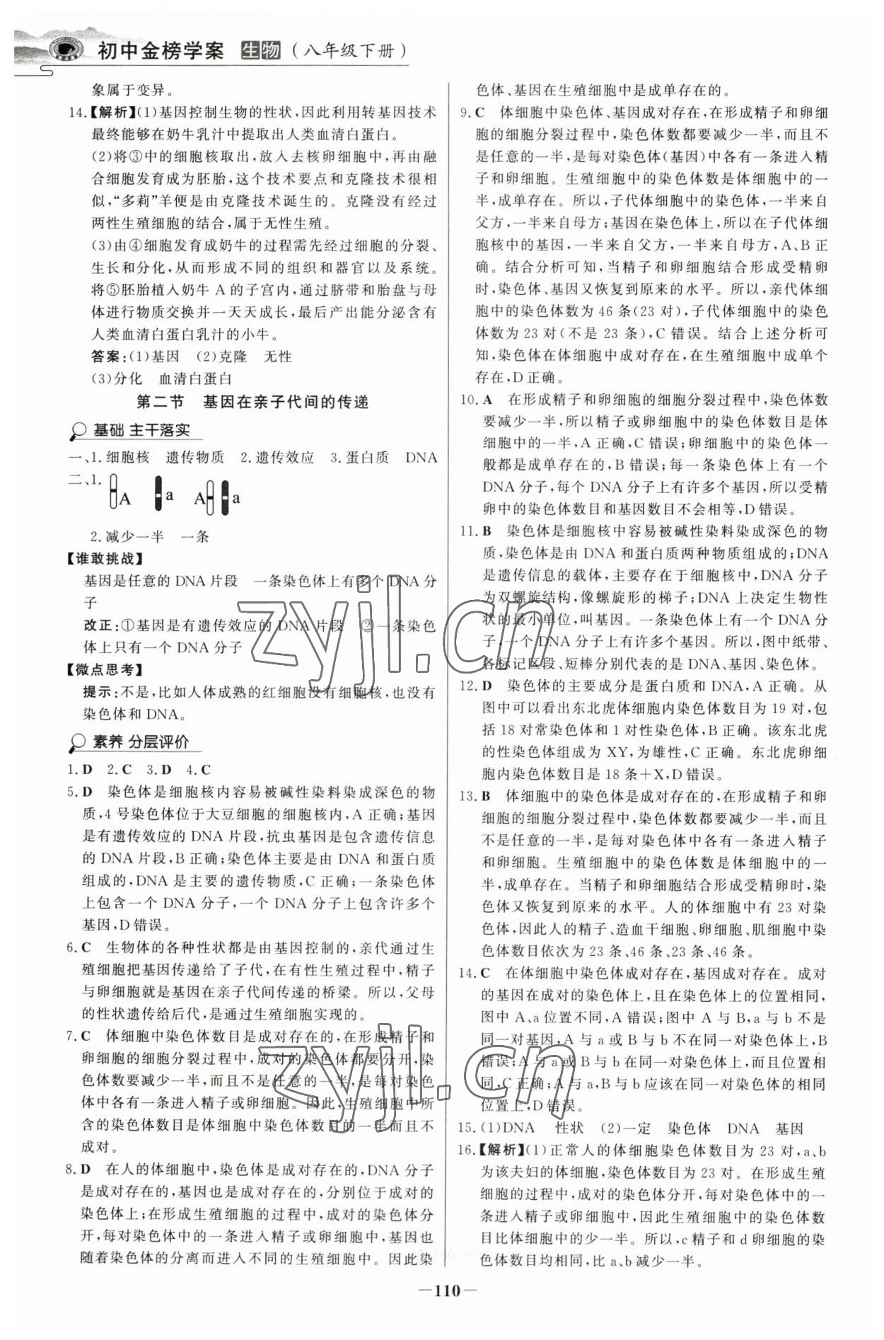 2023年世纪金榜金榜学案八年级生物下册人教版河南专版 参考答案第5页