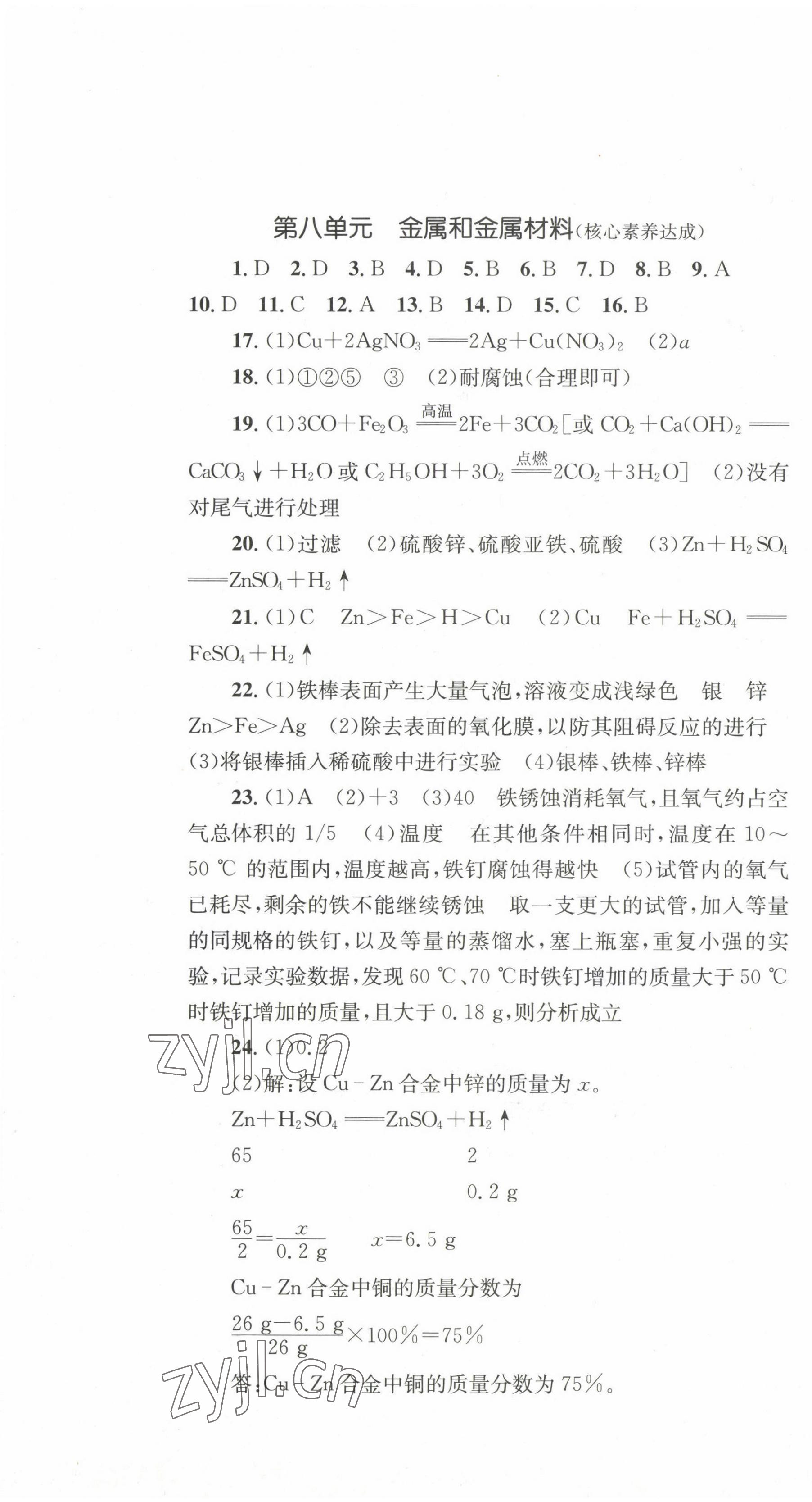 2023年學(xué)科素養(yǎng)與能力提升九年級化學(xué)下冊人教版 第1頁