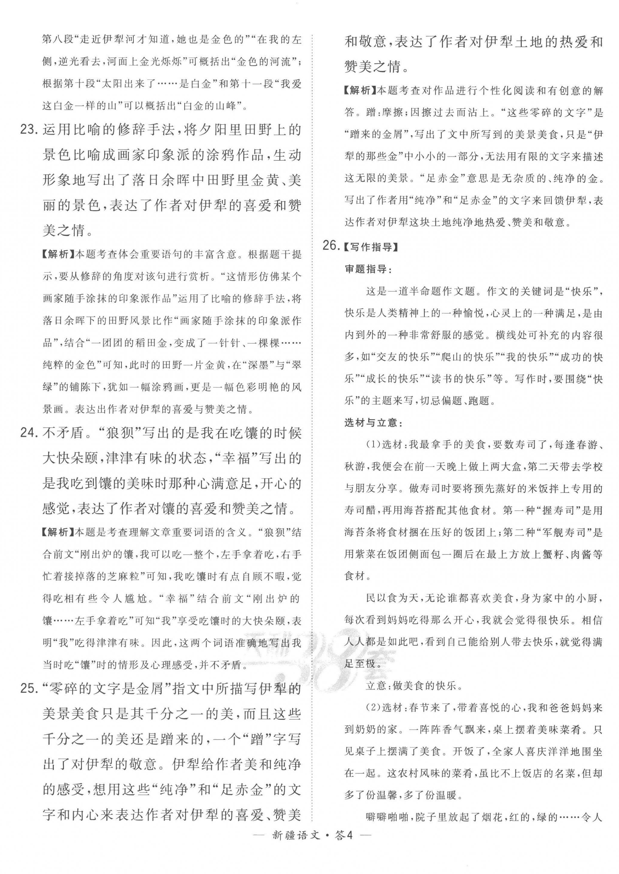 2023年天利38套中考试题精选语文新疆专版 第4页