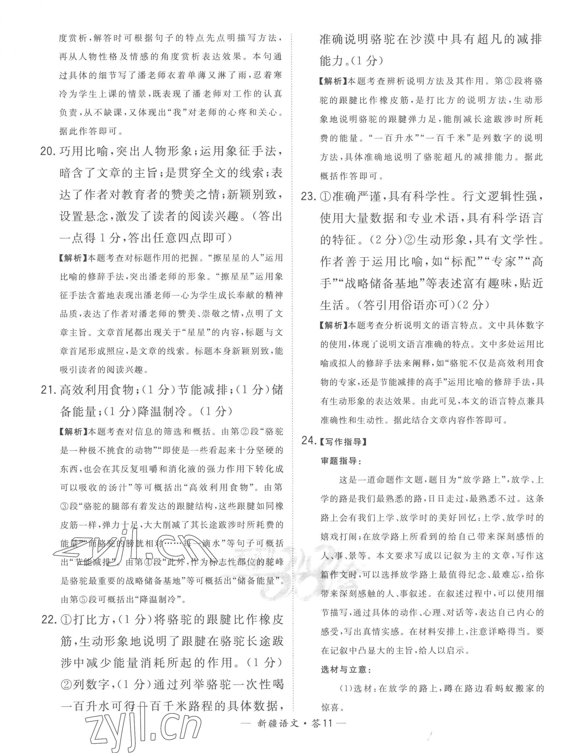2023年天利38套中考试题精选语文新疆专版 第11页