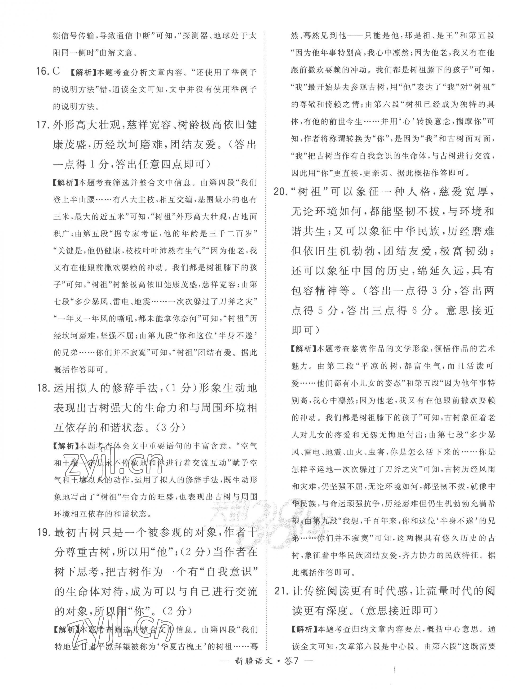 2023年天利38套中考试题精选语文新疆专版 第7页