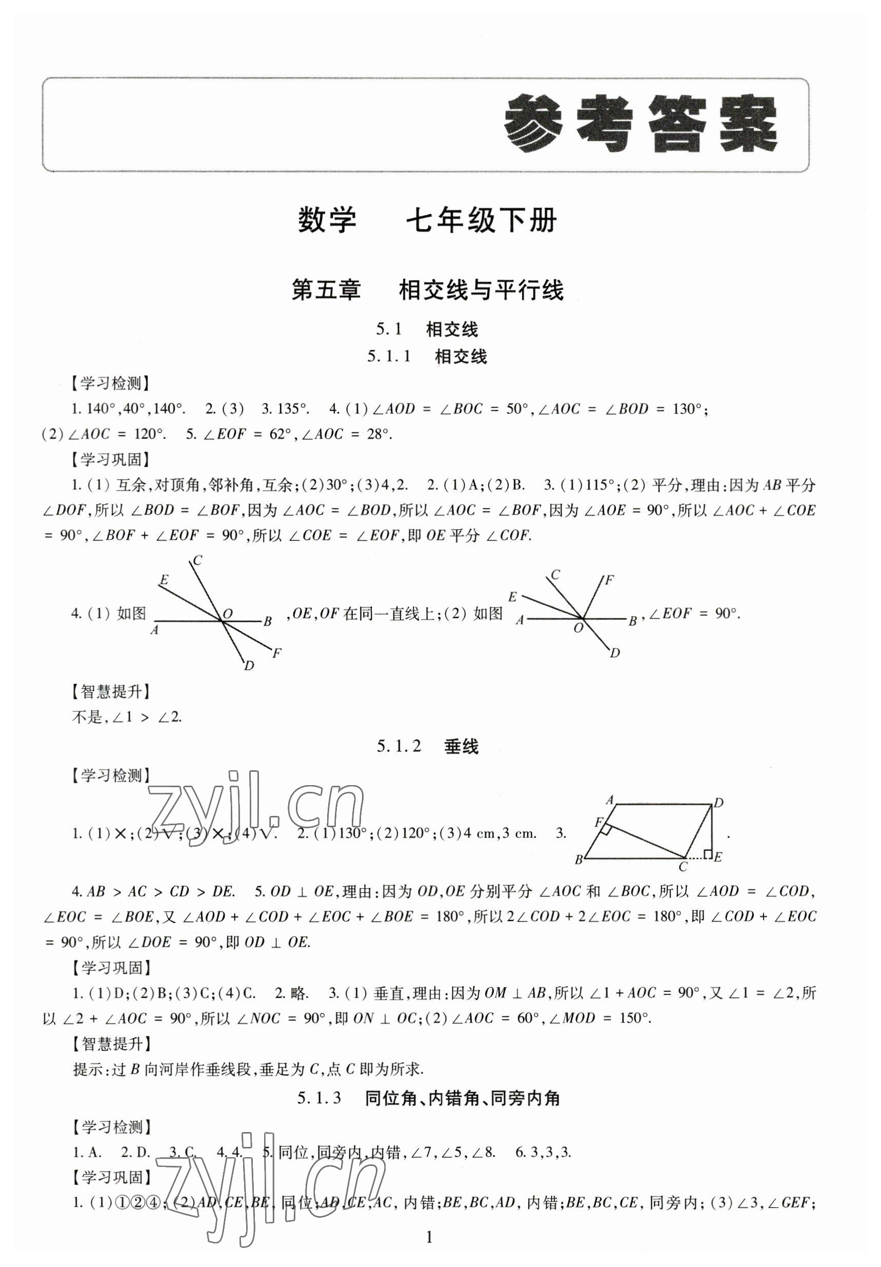 2023年智慧学习导学练七年级数学下册人教版 第1页