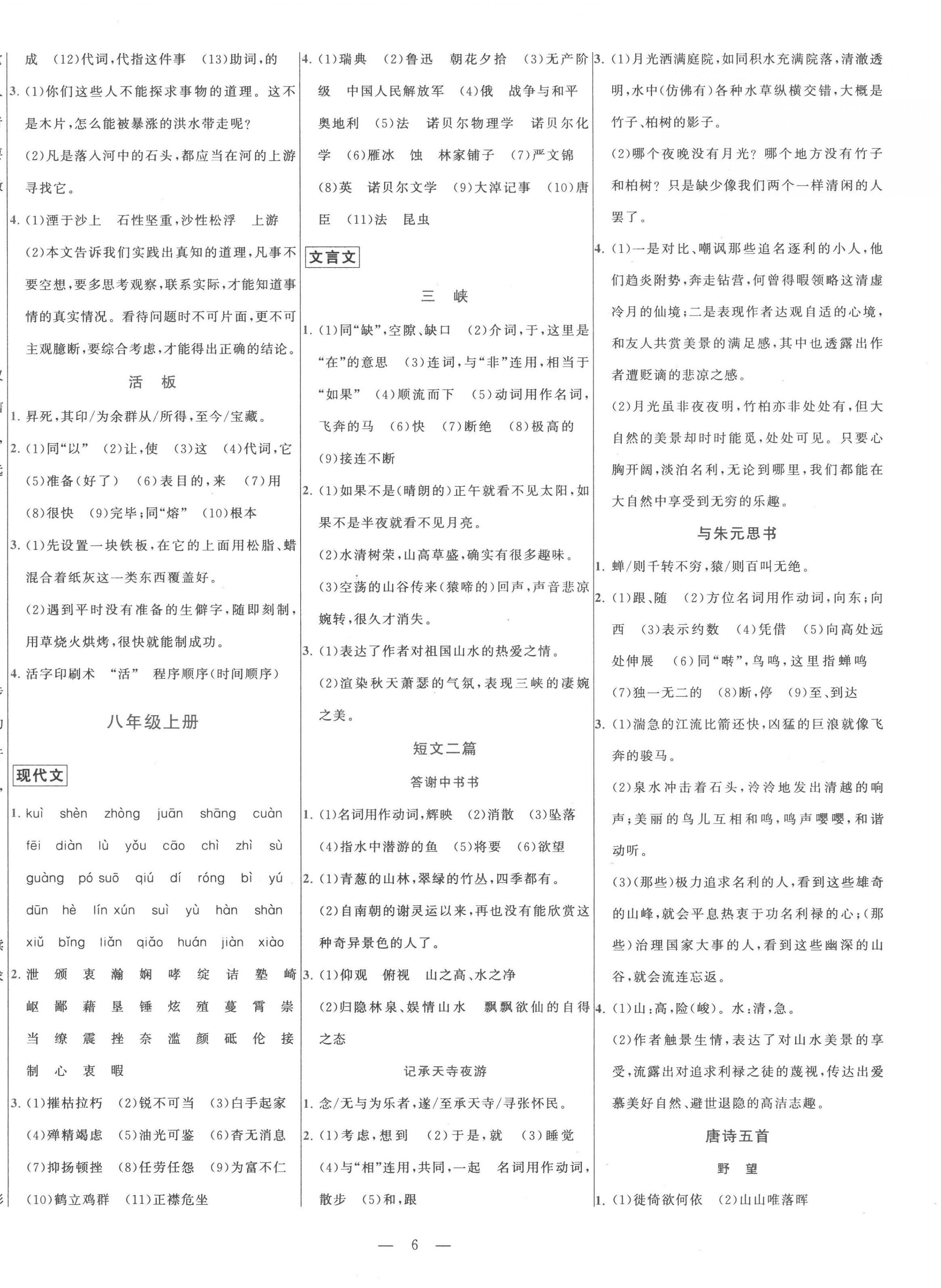 2023年初中学业水平考试总复习语文泰安专版 第6页