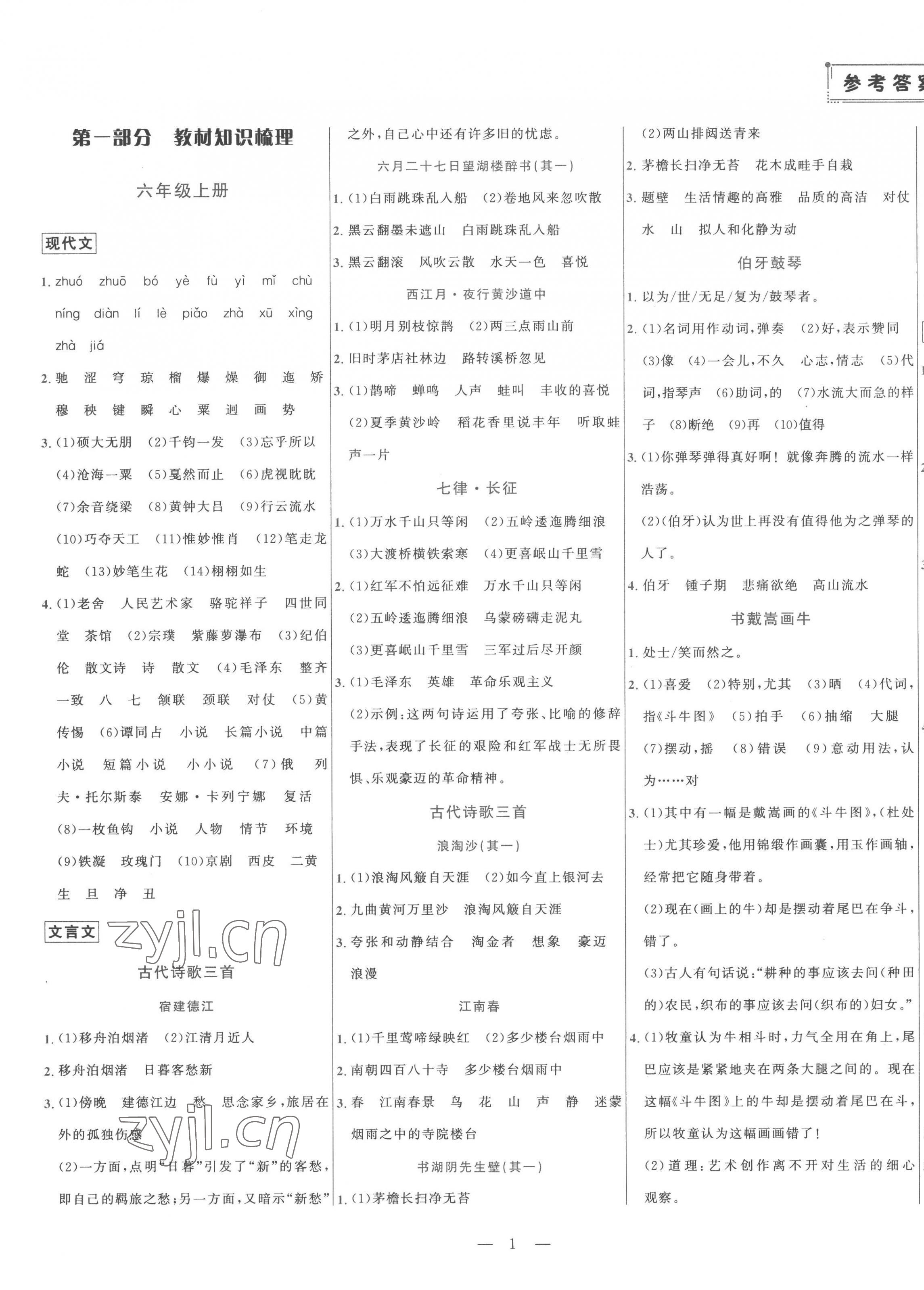 2023年初中学业水平考试总复习语文泰安专版 第1页