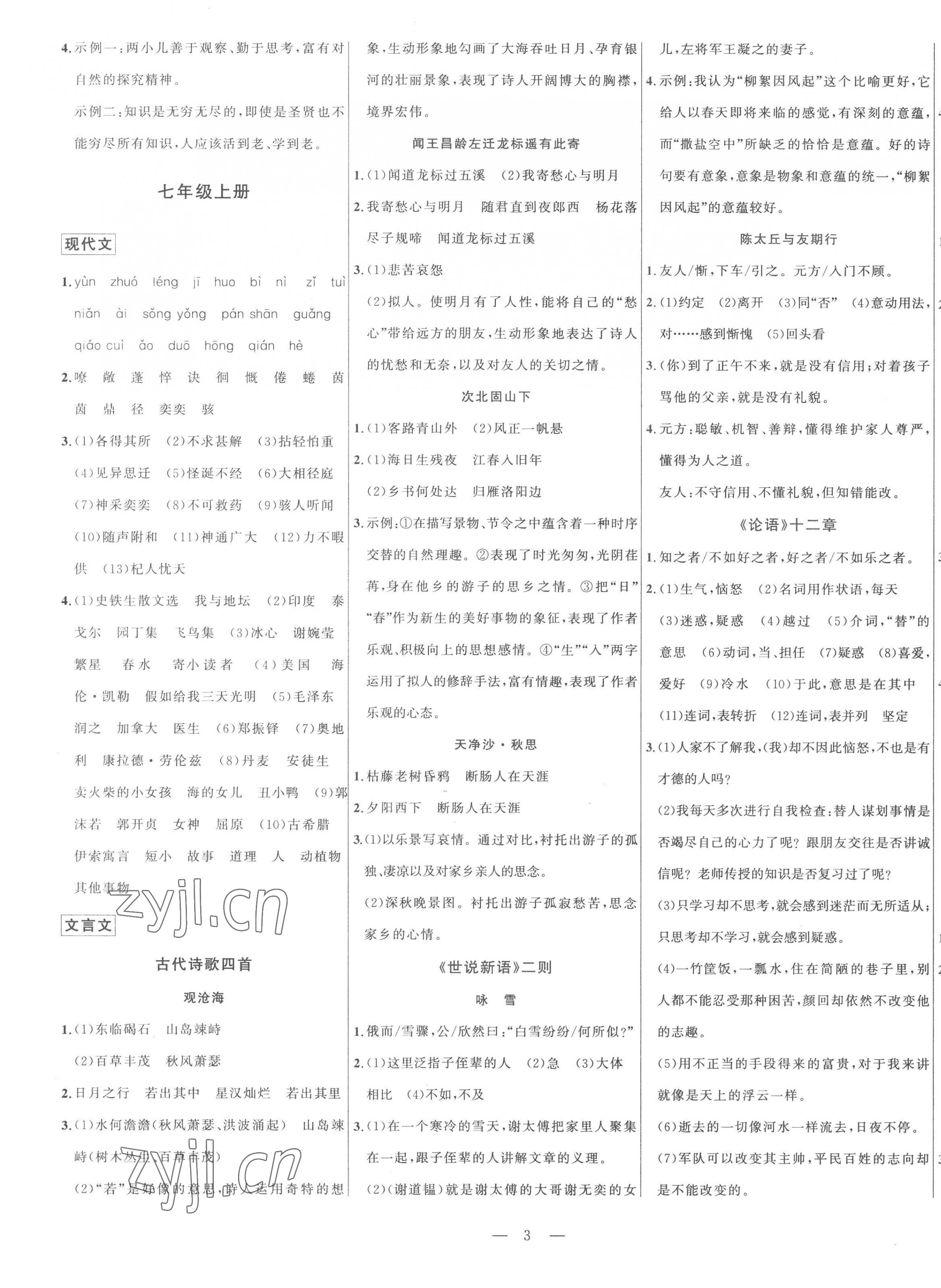 2023年初中学业水平考试总复习语文泰安专版 第3页