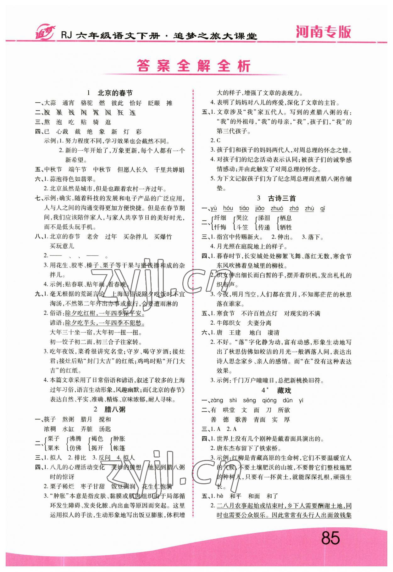 2023年追梦之旅大课堂六年级语文下册人教版河南专版 第1页