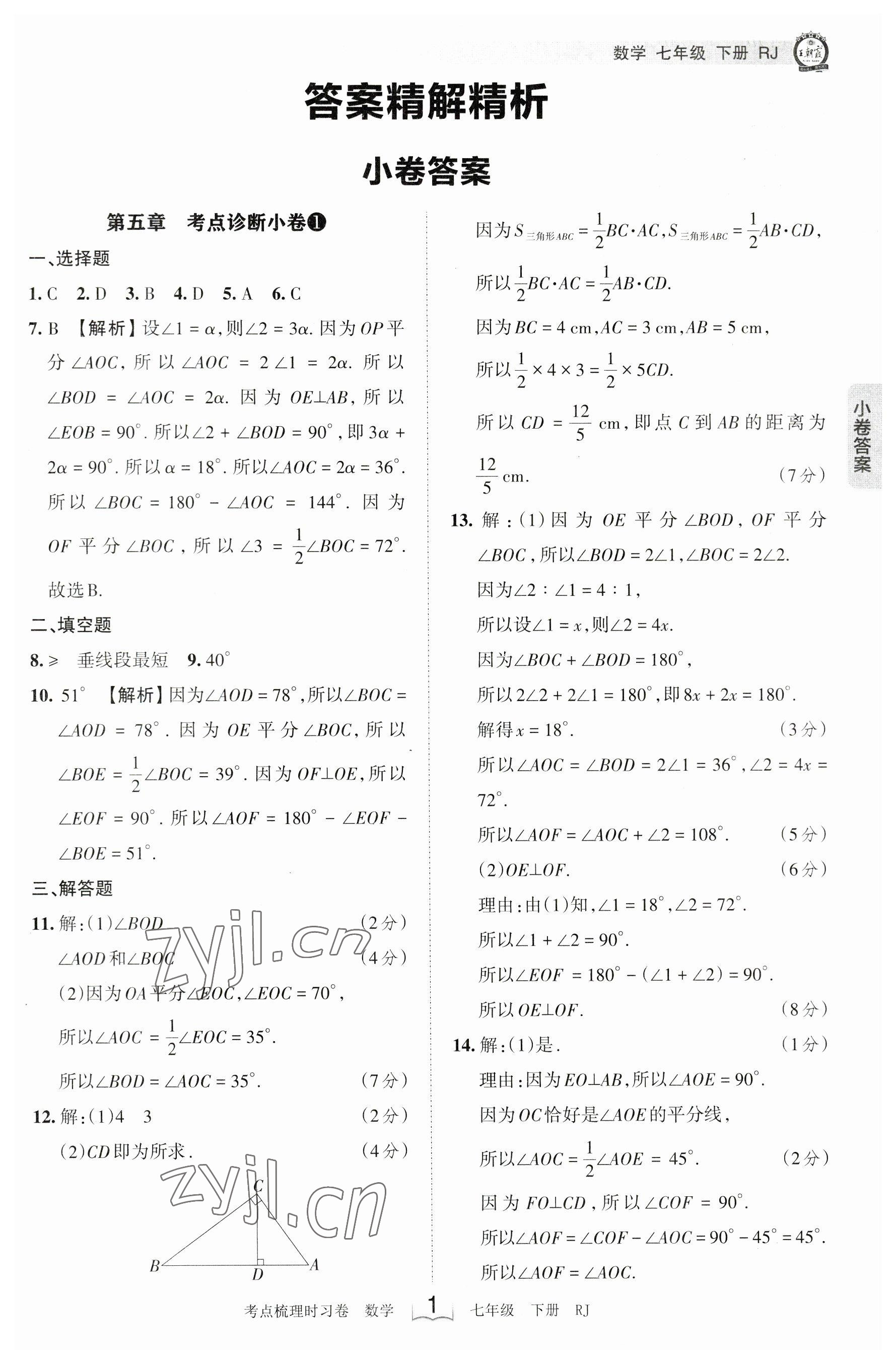 2023年王朝霞考点梳理时习卷七年级数学下册人教版 参考答案第1页