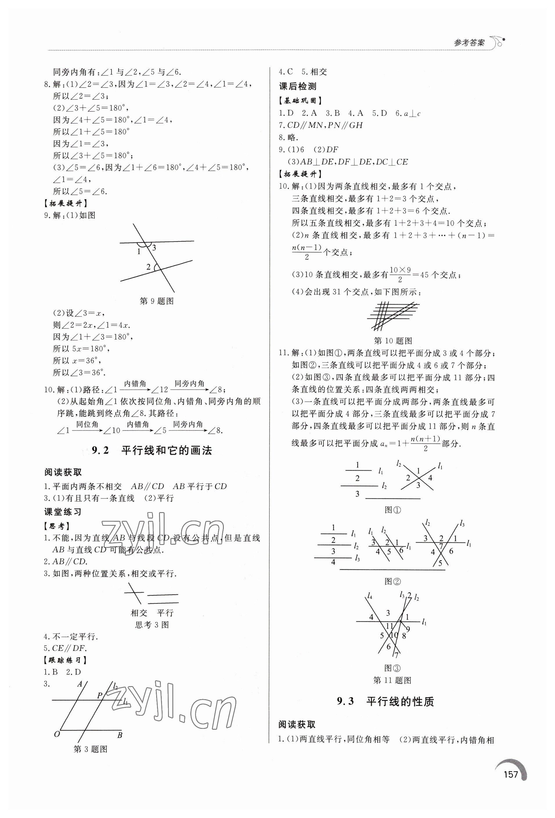 2023年同步练习册泰山出版社七年级数学下册青岛版 第5页