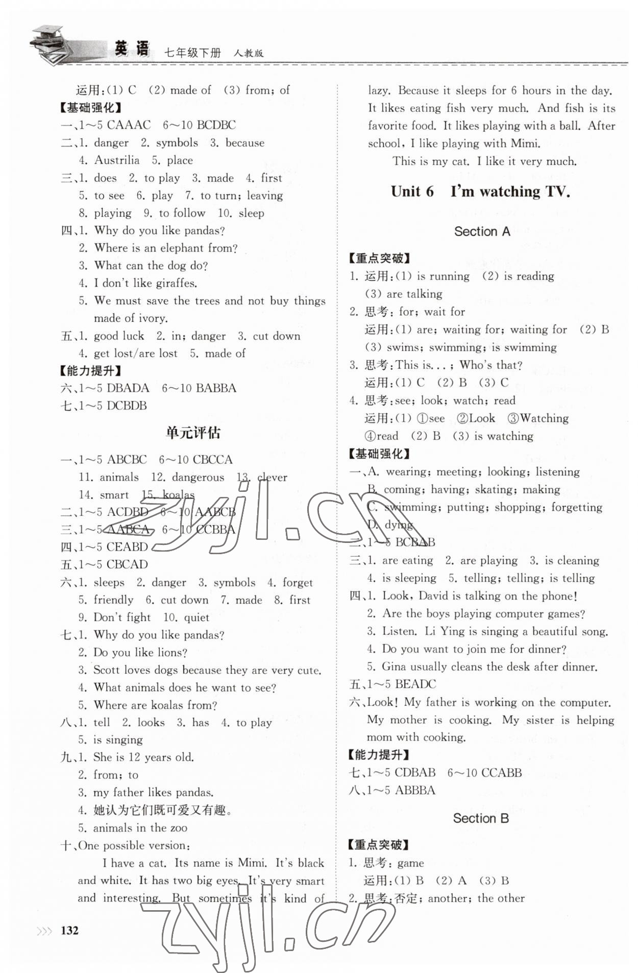 2023年同步練習(xí)冊七年級英語下冊人教版山東科學(xué)技術(shù)出版社 第6頁