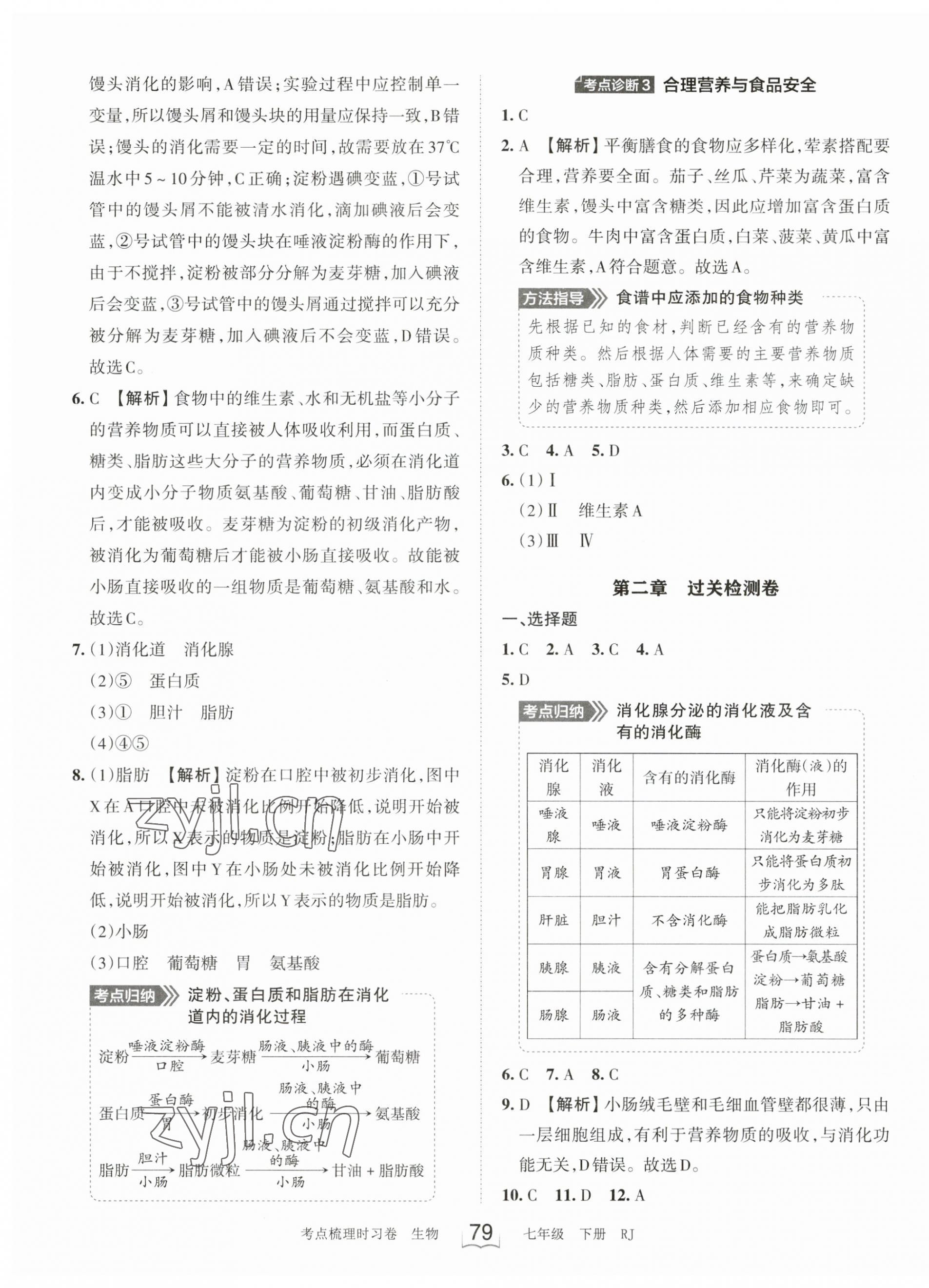 2023年王朝霞考点梳理时习卷七年级生物下册人教版 第3页