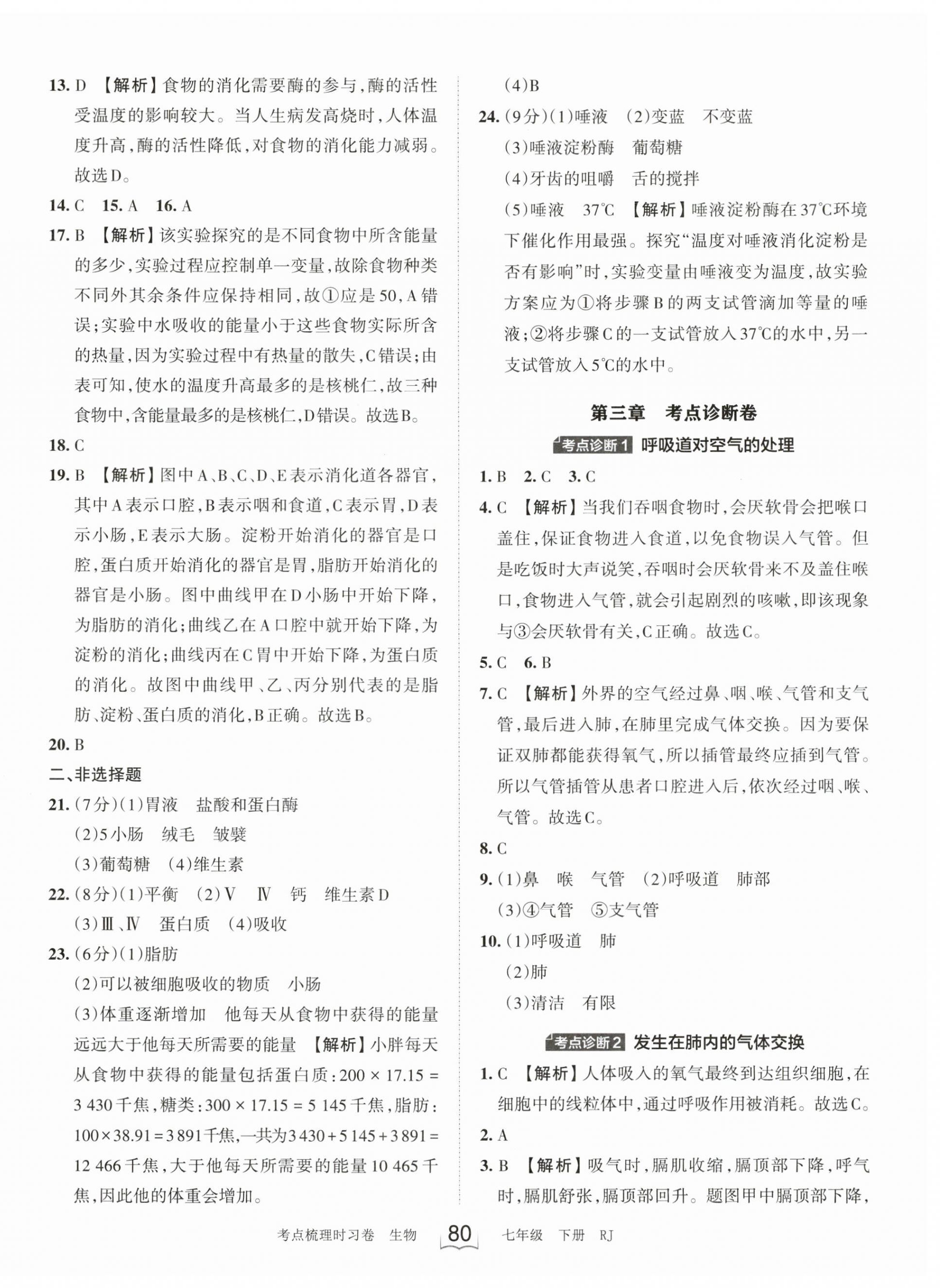 2023年王朝霞考点梳理时习卷七年级生物下册人教版 第4页