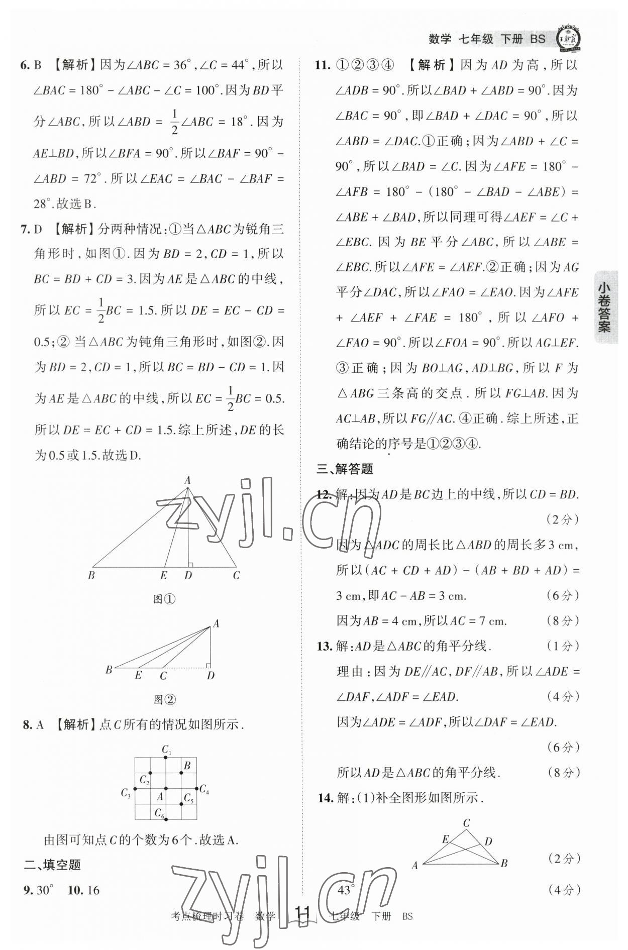 2023年王朝霞考点梳理时习卷七年级数学下册北师大版 参考答案第11页